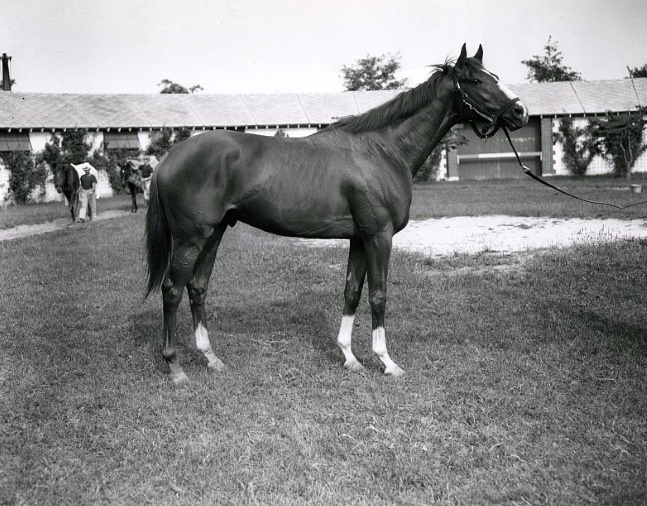 Sword Dancer at Belmont Park in 1959 (Keeneland Library Morgan Collection/Museum Collection)