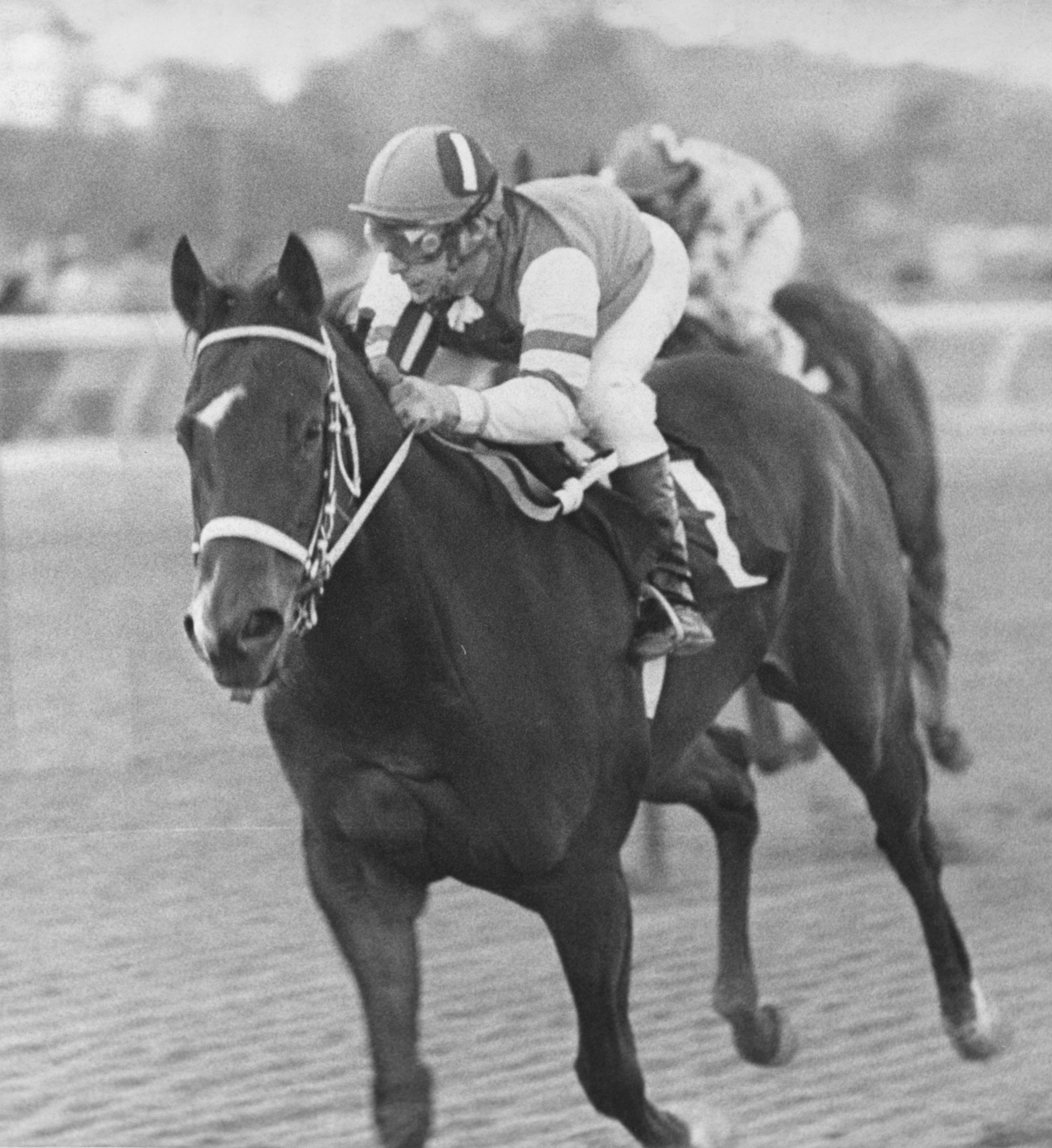 My Juliet, 1976 Doylestown Handicap, Anthony Black up (Keeneland Library Thoroughbred Times Collection)