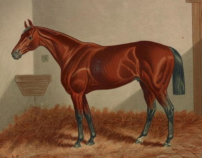 Painting of Ten Broeck by Henry Stull