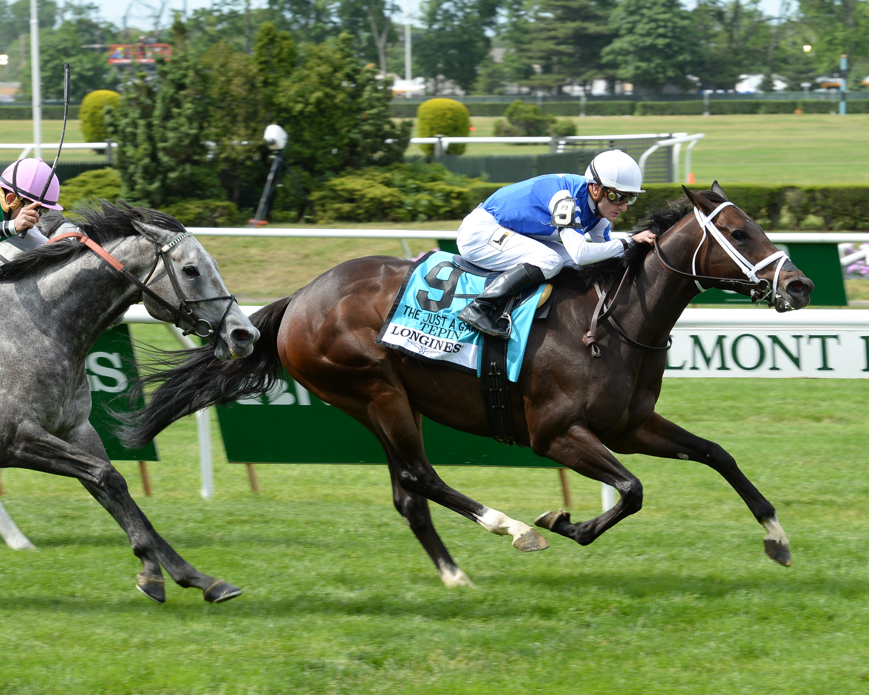Tepin, Julien Leparoux up, winning the 2015 Just a Game Stakes at Belmont (NYRA)