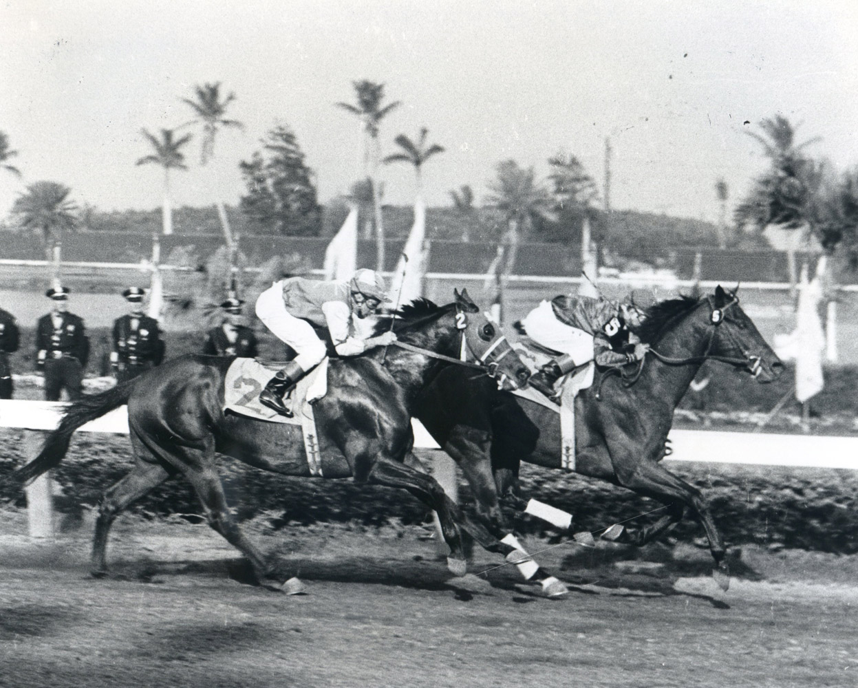 Tim Tam (Bill Hartack up) winning the 1958 Florida Derby at Gulfstream Park (Jim Raftery Turfotos/Museum Collection)