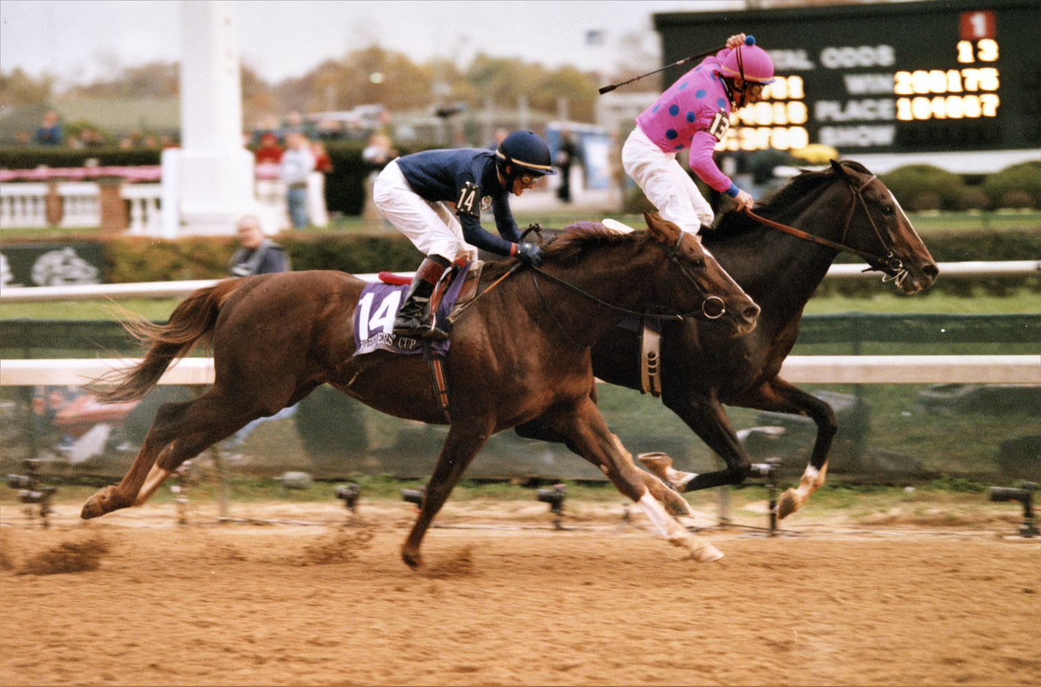 Tiznow (Chris McCarron up) winning the 2000 Breeders' Cup Classic at Churchill Downs by a neck over Giant's Causeway (Keeneland Library Thoroughbred Times Collection)