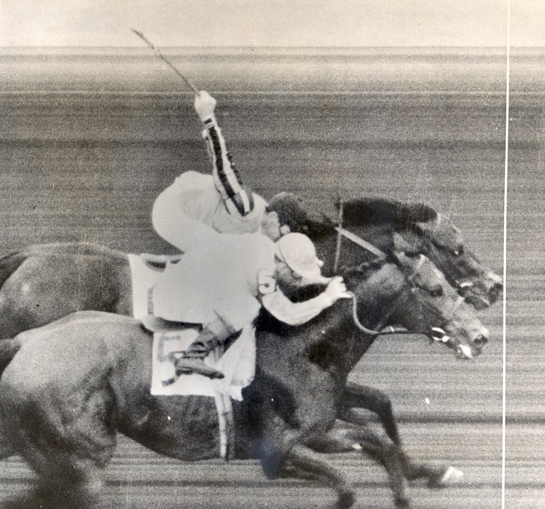 Tom Fool (Ted Atkinson up) winning the 1953 Suburban Handicap at Belmont by a nose (Museum Collection)