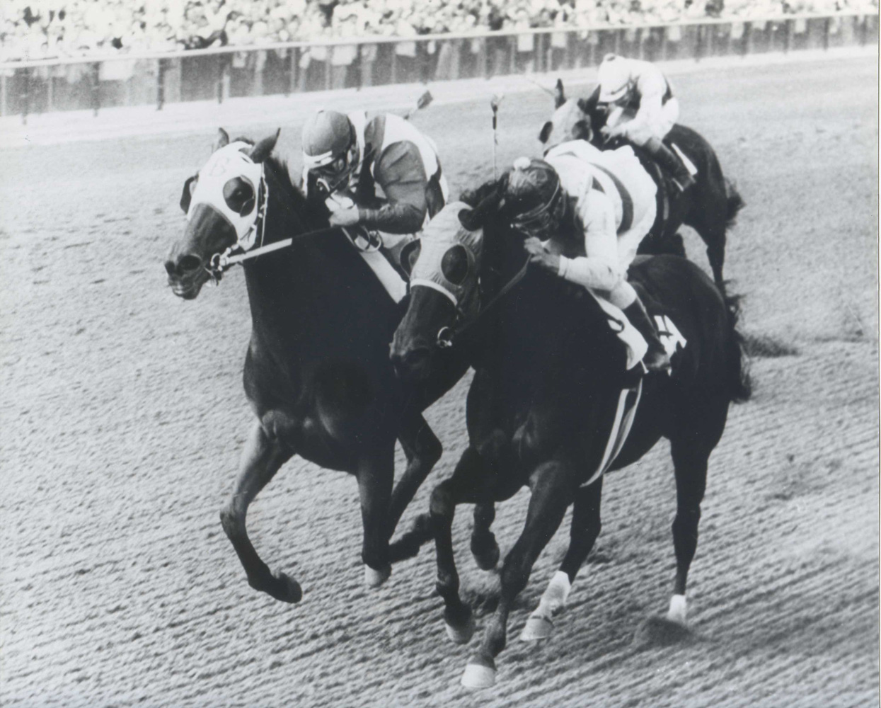 Tosmah with Sam Boulmetis up (on left) battles Affectionately to win the 1965 Maskette Handicap at Aqueduct by a nose (Bob Coglianese/Museum Collection)