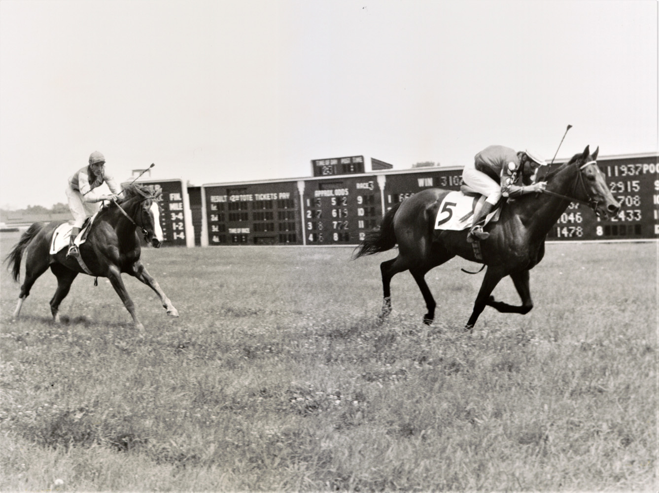 Tuscalee (Joe Aitcheson up) racing to the finish in the 1967 Georgetown Steeplechase Handicap at Delaware Park (Keeneland Library Thoroughbred Times Collection)