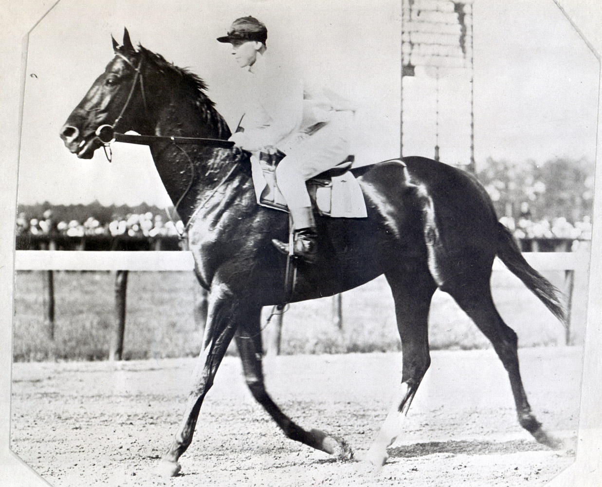 Whisk Broom II with Joe Notter up at Belmont Park, 1913 (Museum Collection)