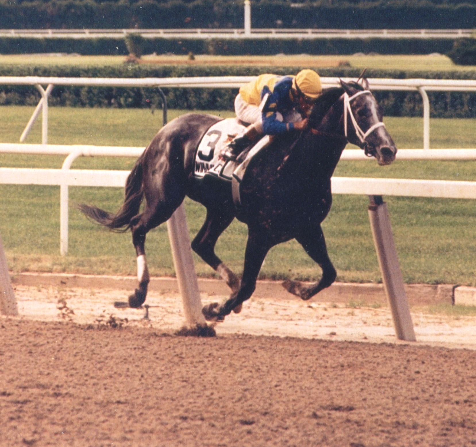 Winning Colors (Pat Day up) winning an allowance race at Saratoga, August 1989 (Mike Pender/Museum Collection)