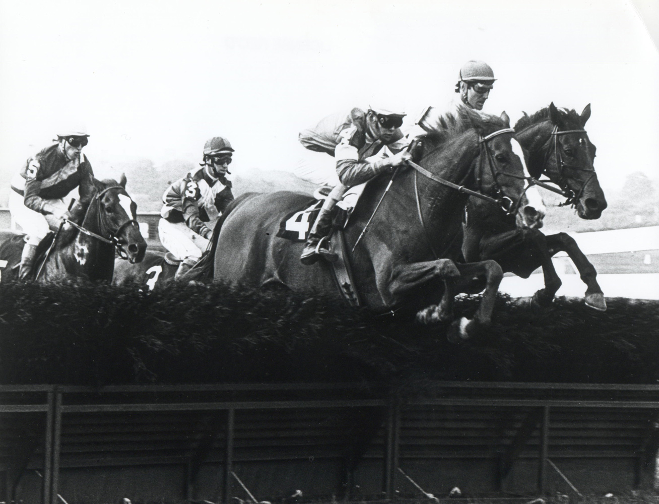 Zaccio clearing a jump in 1982 (Milt Tobey/The BloodHorse /Museum Collection)