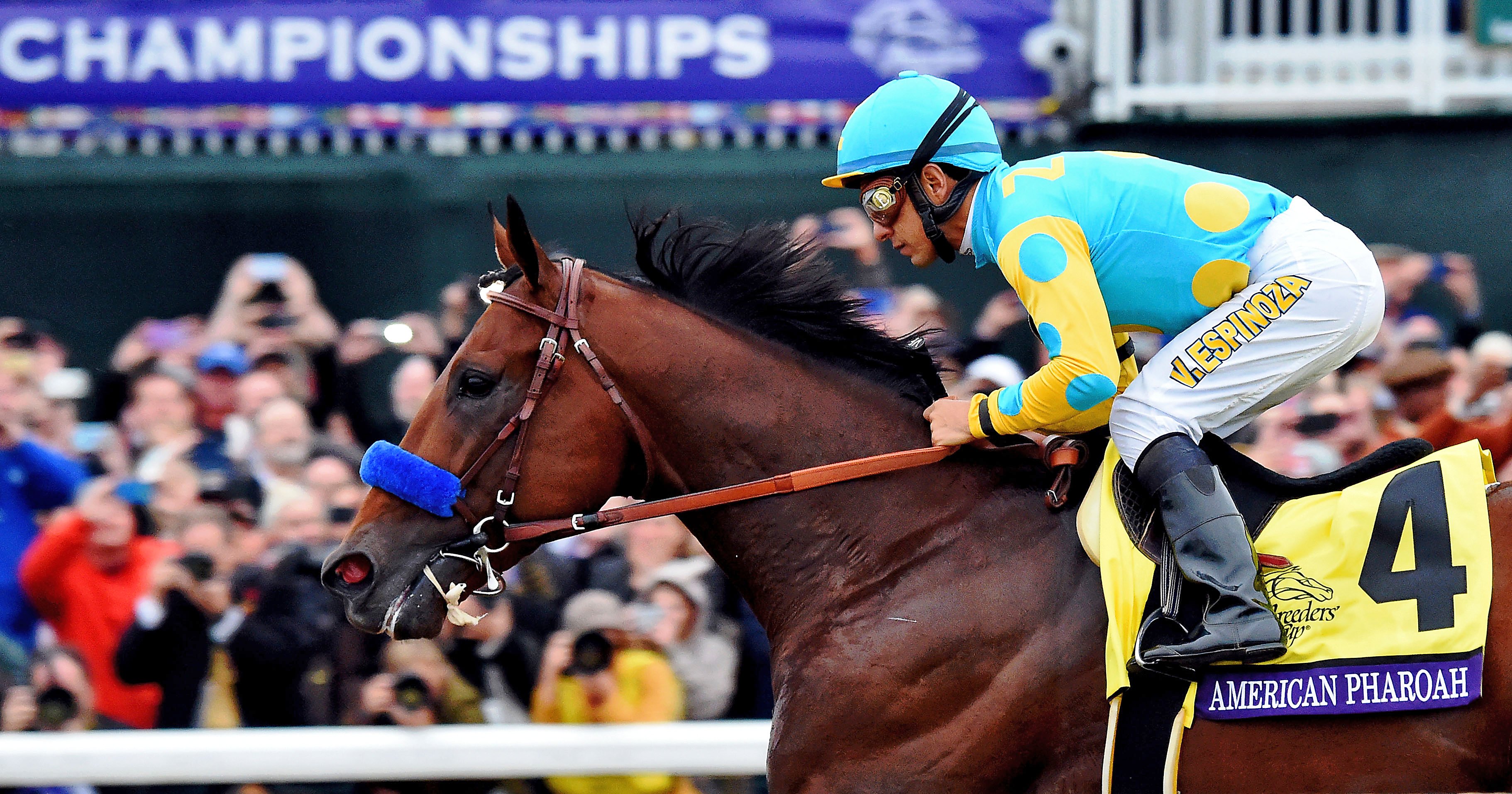 American Pharoah, Victor Espinoza up, winning the 2015 Breeders' Cup Classic at Keeneland in track-record time (Breeders' Cup/Eclipse Sportswire)