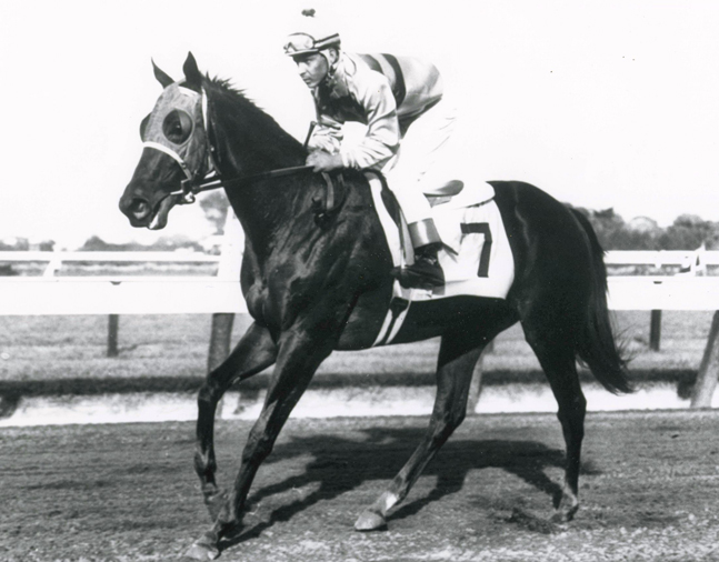 Affectionately (Ismael Valenzuela up) after winning the 1962 Sorority Stakes at Monmouth Park (The BloodHorse/Museum Collection)