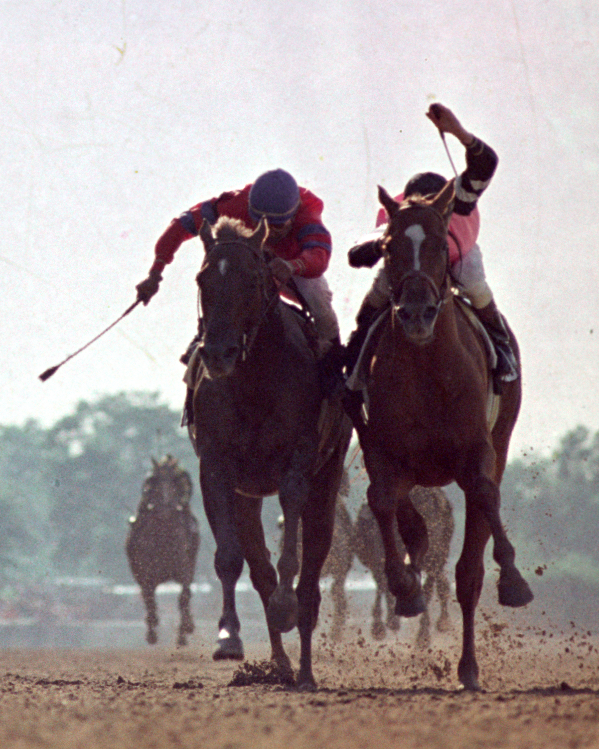 Affirmed (Steve Cauthen up) dueling Alydar (Jorge Velasquez up) for the win in the 1978 Belmont Stakes, becoming the 11th Triple Crown winner in history (NYRA/Bob Coglianese /Museum Collection)