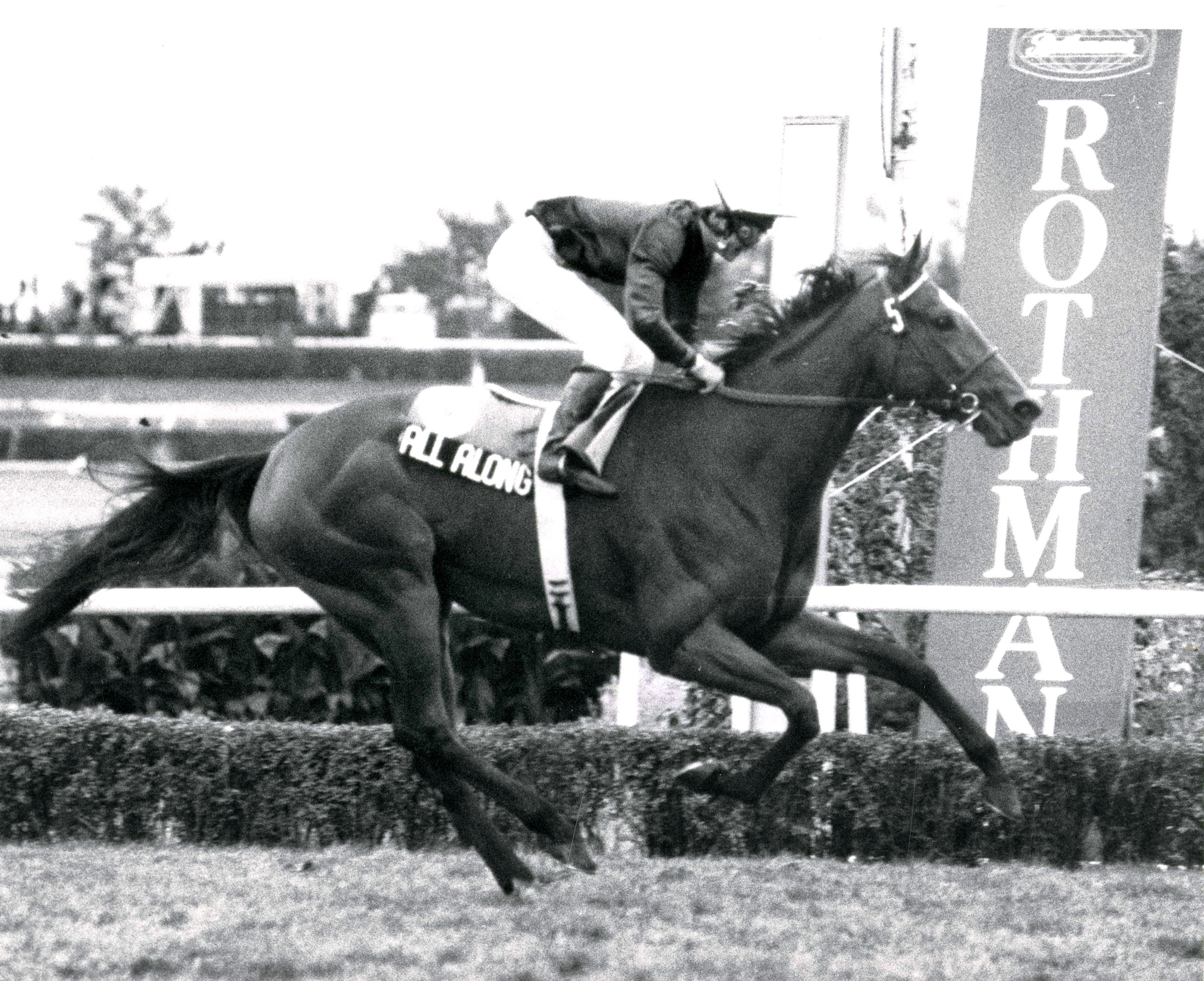 All Along winning the 1984 Rothmans International at Woodbine (Michael Burns/Museum Collection)