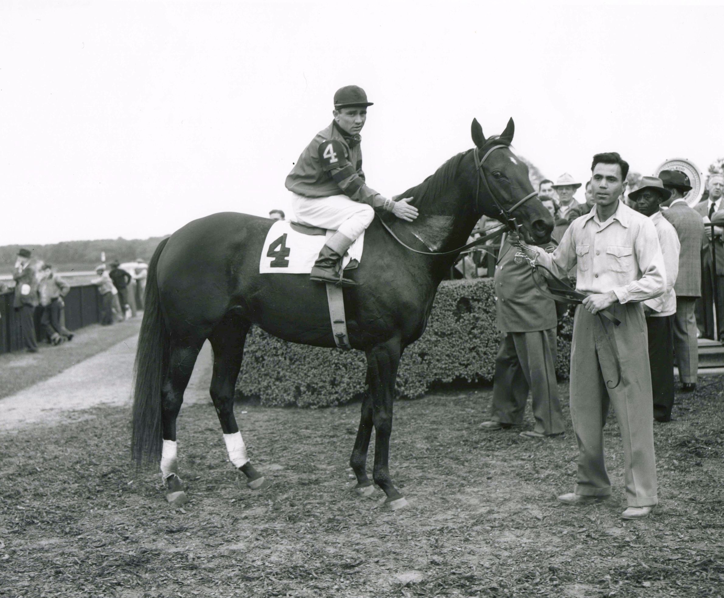 Bewitch (Steve Brooks up) in the winner's circle for the 1950 War Date Handicap at Belmont Park (Keeneland Library Morgan Collection/Museum Collection)