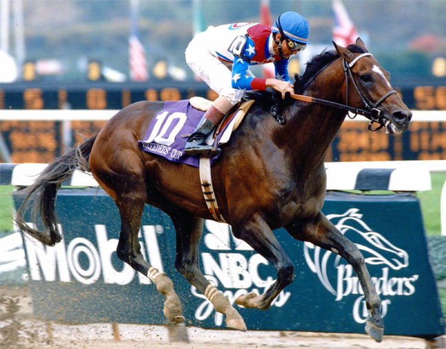 Cigar (Jerry Bailey up) winning the 1995 Breeders' Cup Classic at Belmont Park (NYRA/Museum Collection)
