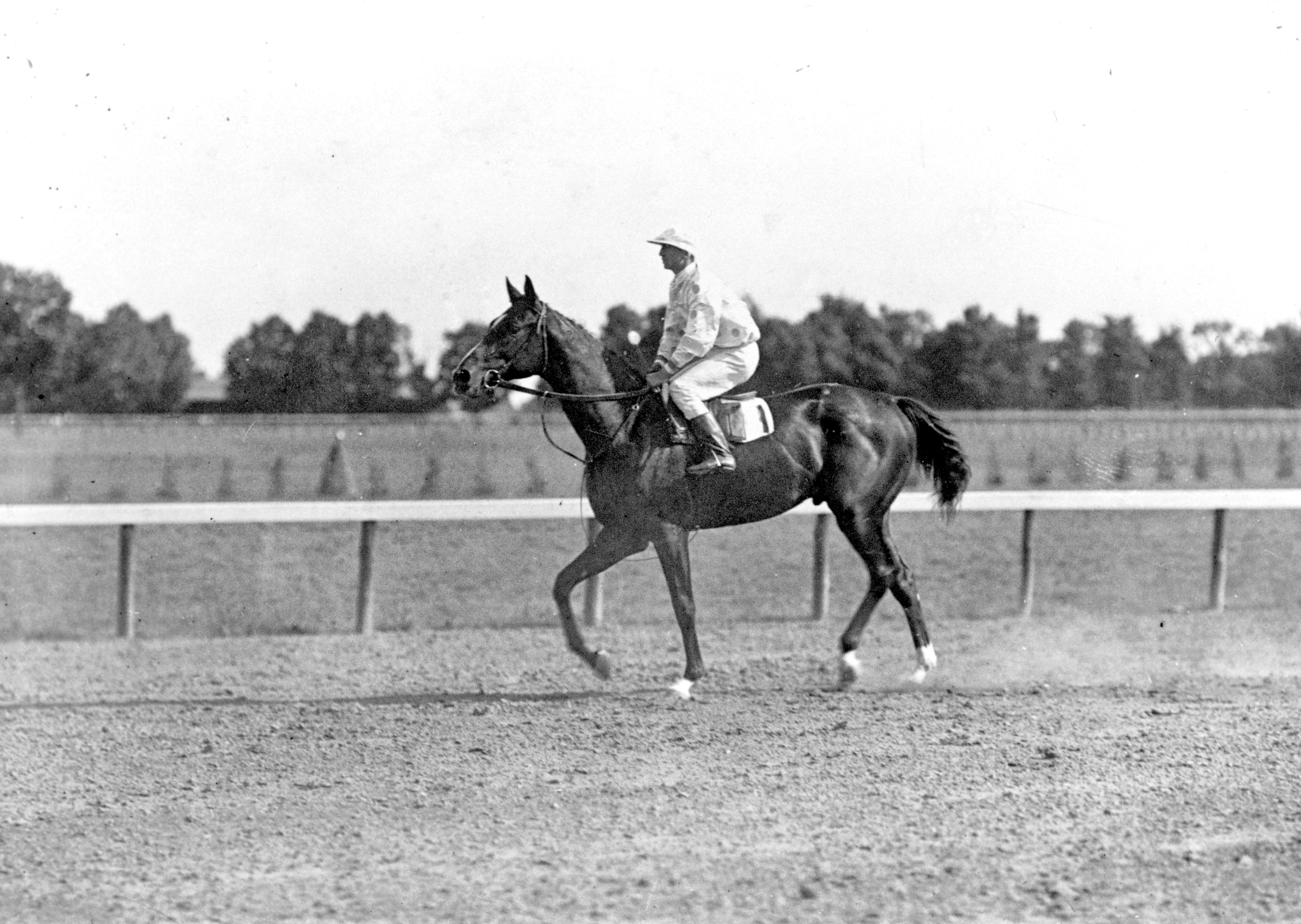 Colin with Walter Miller up (Keeneland Library Cook Collection/Museum Collection)