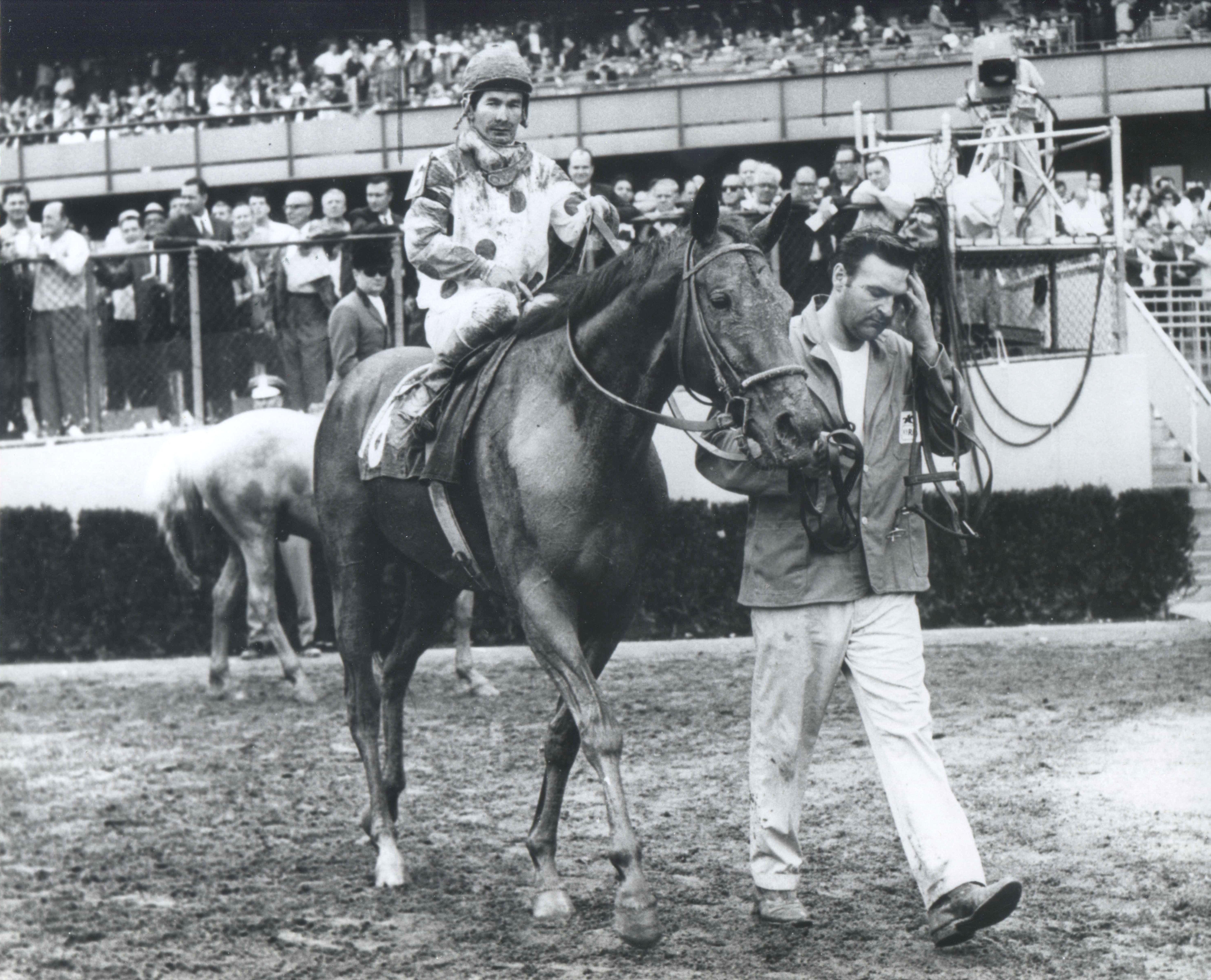 Damascus with Bill Shoemaker up (The BloodHorse)