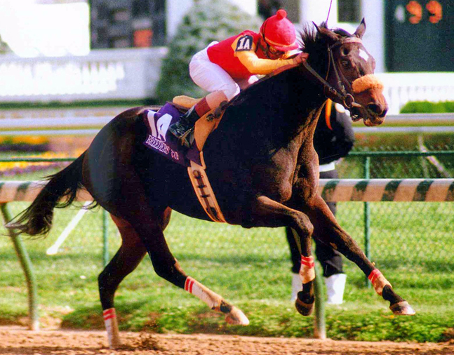 Dance Smartly (Pat Day up) winning the 1991 Breeders' Cup Distaff at Churchill Downs (Barbara D. Livingston/Museum Collection)