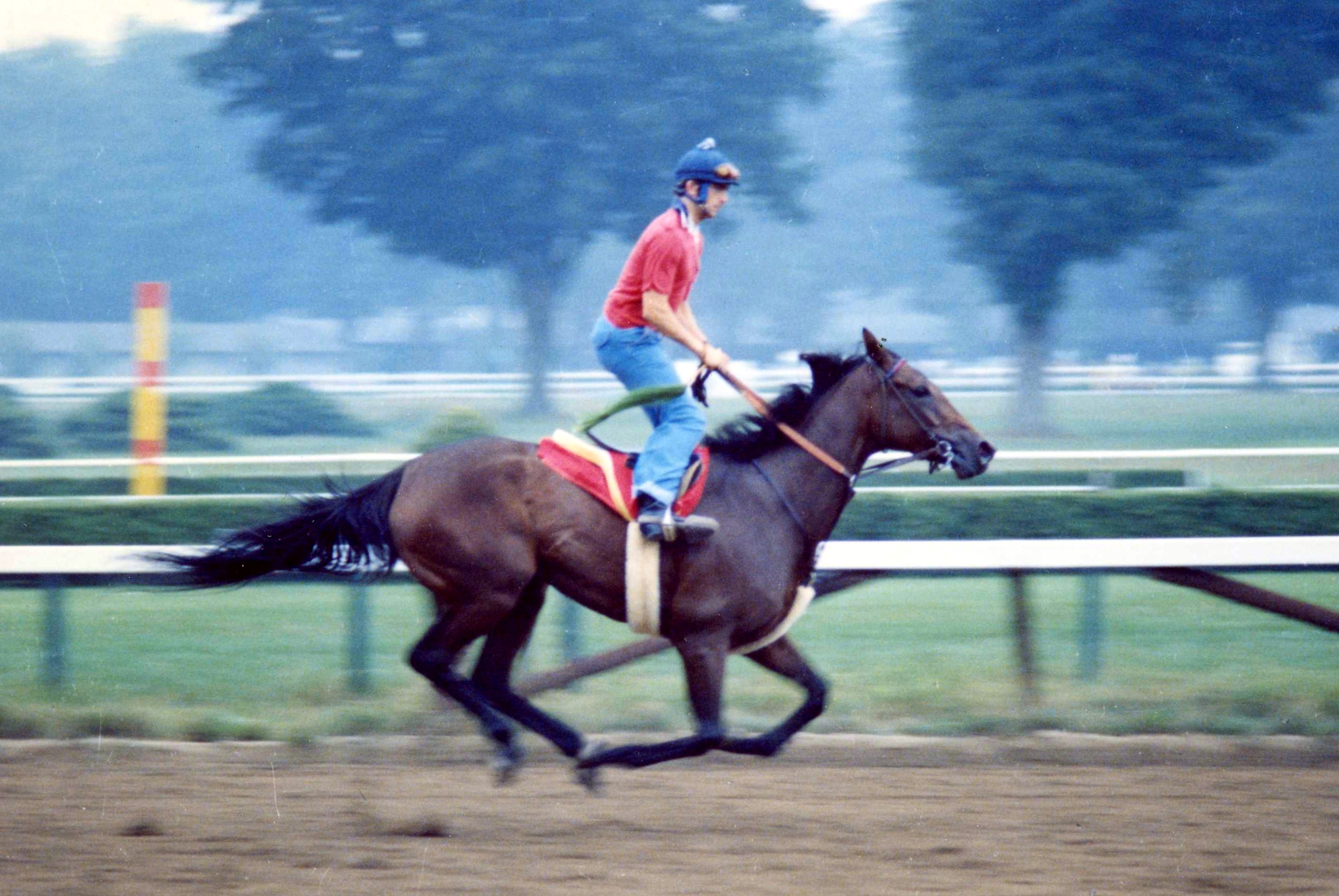 Davona Dale breezing at Saratoga Race Course, 1978 (Barbara D. Livingston/Museum Collection)