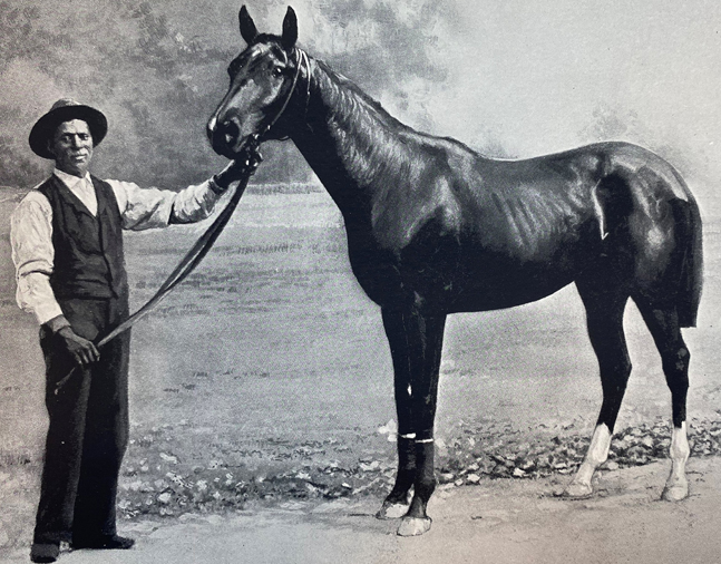 Domino, from "Racing in America, 1866-1921" (Museum Collection)