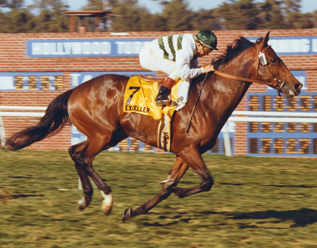 Exceller (Bill Shoemaker up) winning the 1978 Hollywood Invitational Handicap at Hollywood Park (Hollywood Park Photo/Museum Collection)