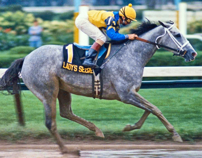 Lady's Secret (Pat Day up) racing to victory in the 1986 Whitney (Barbara D. Livingston/Museum Collection)