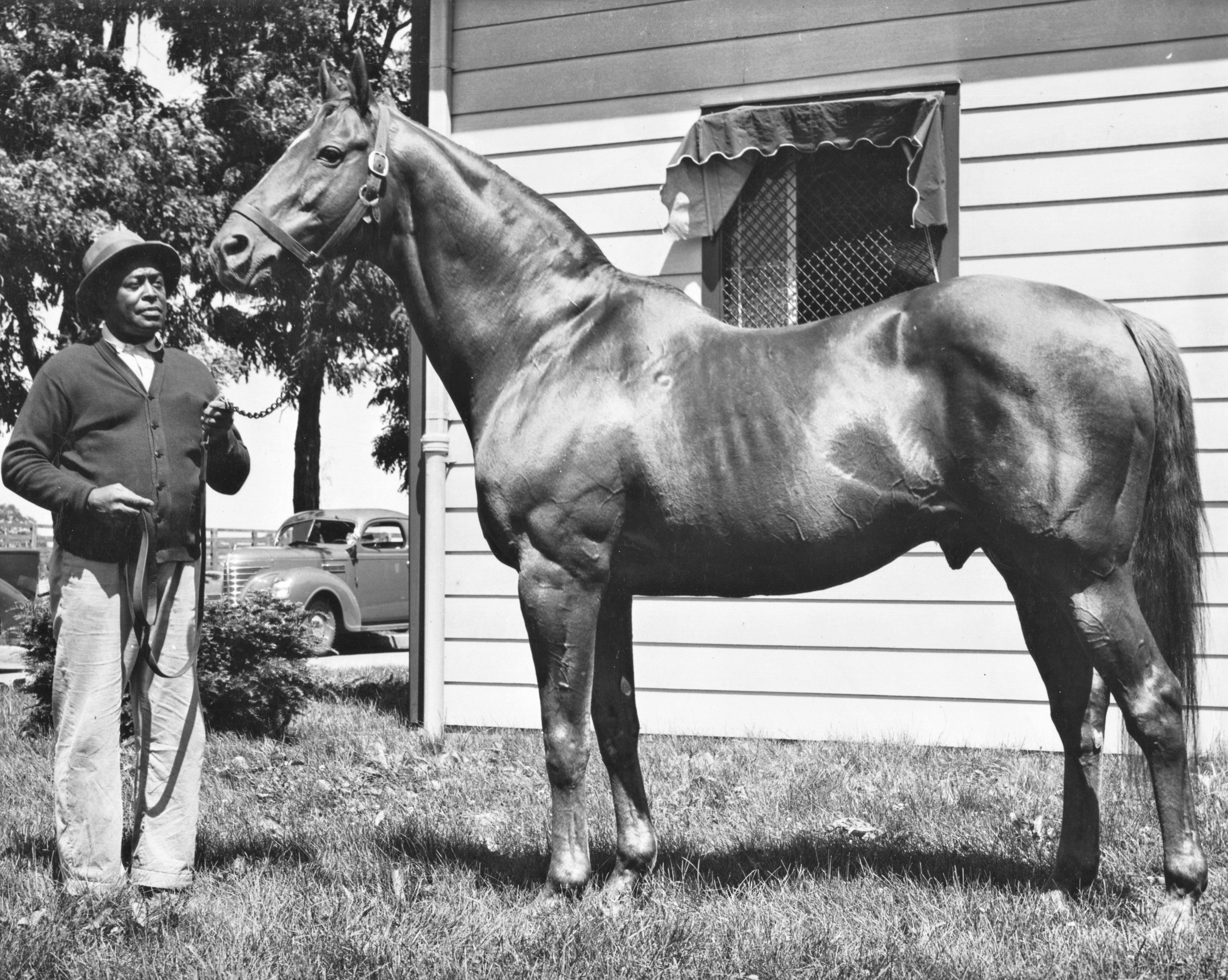Man o' War and Will Harbut (Museum Collection)