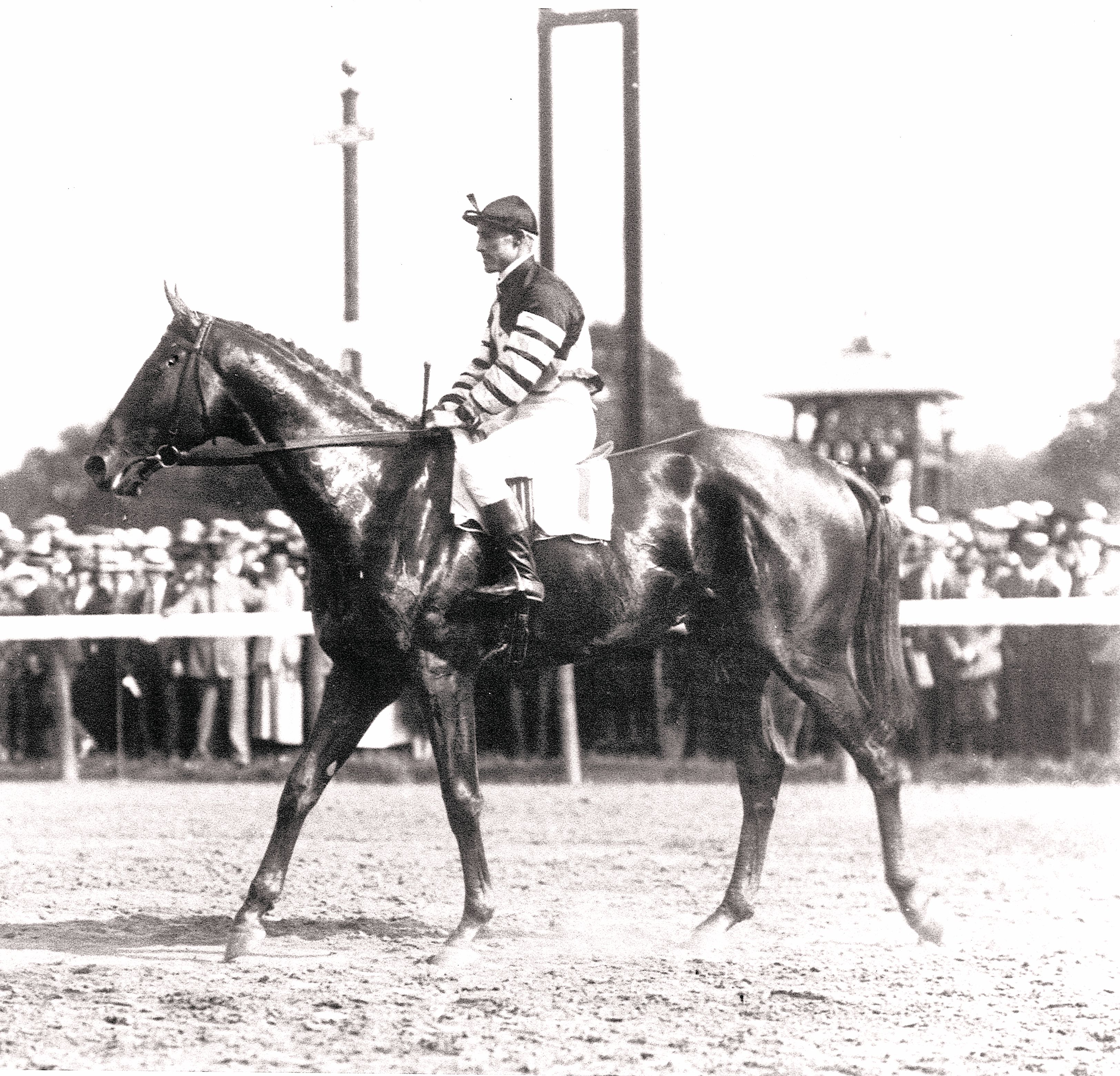 Man o' War (Andy Schuttinger up) at the 1920 Travers Stakes at Saratoga Race Course (Keeneland Library Cook Collection/Museum Collection)