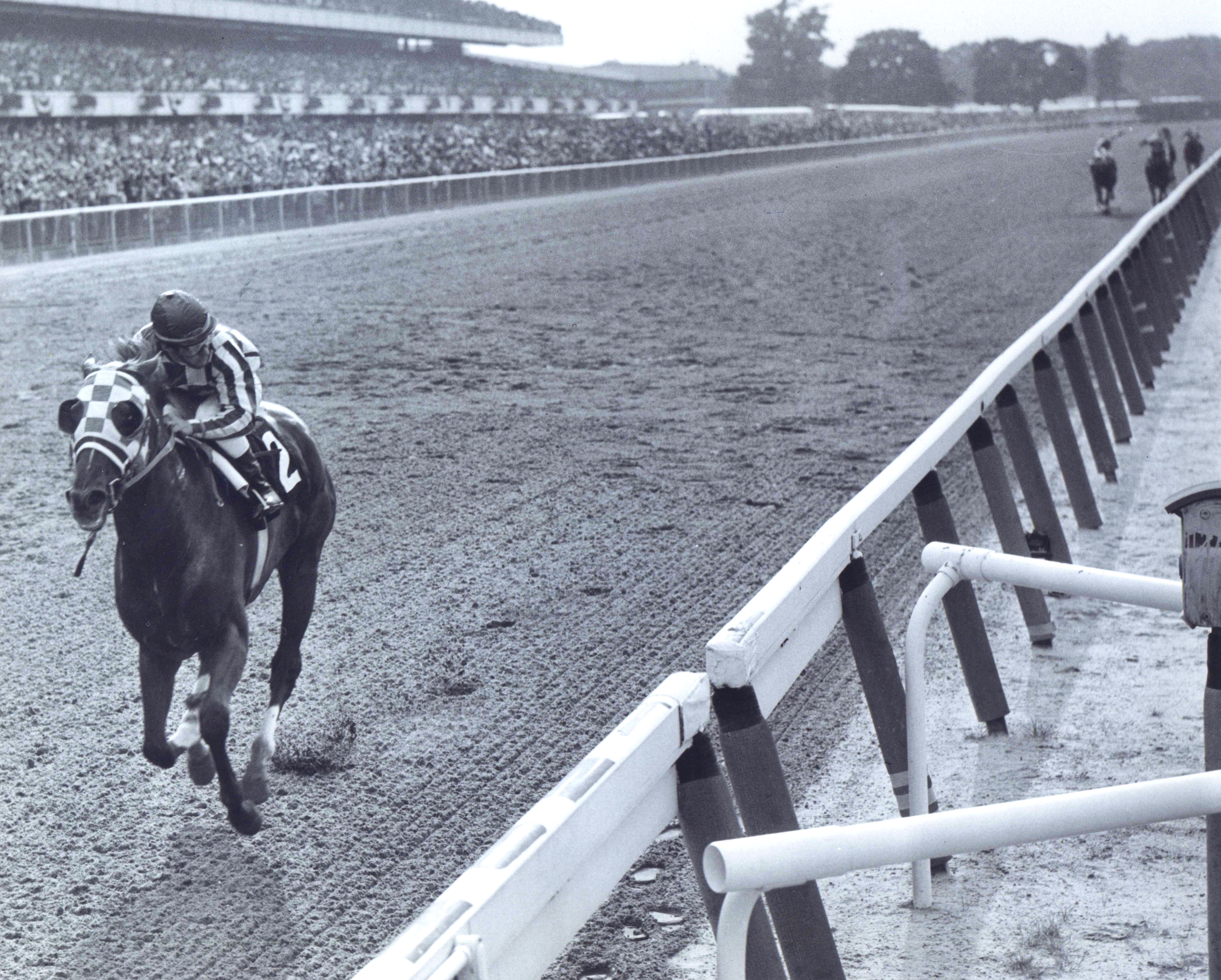 Secretariat (Ron Turcotte up) winning the 1973 Belmont Stakes by a record-breaking 31 lengths, becoming America's 9th Triple Crown winner (Bob Coglianese/Museum Collection)