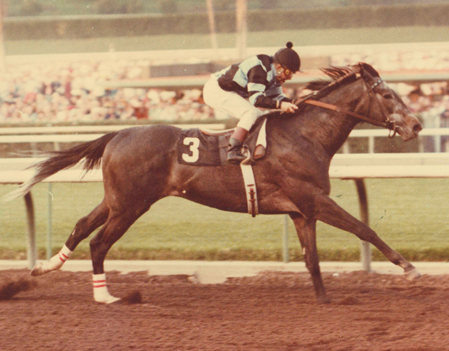 Spectacular Bid (Bill Shoemaker up) sets a new world record while winning the 1980 Charles H. Strub Stakes at Santa Anita (Bill Mochon/Museum Collection)