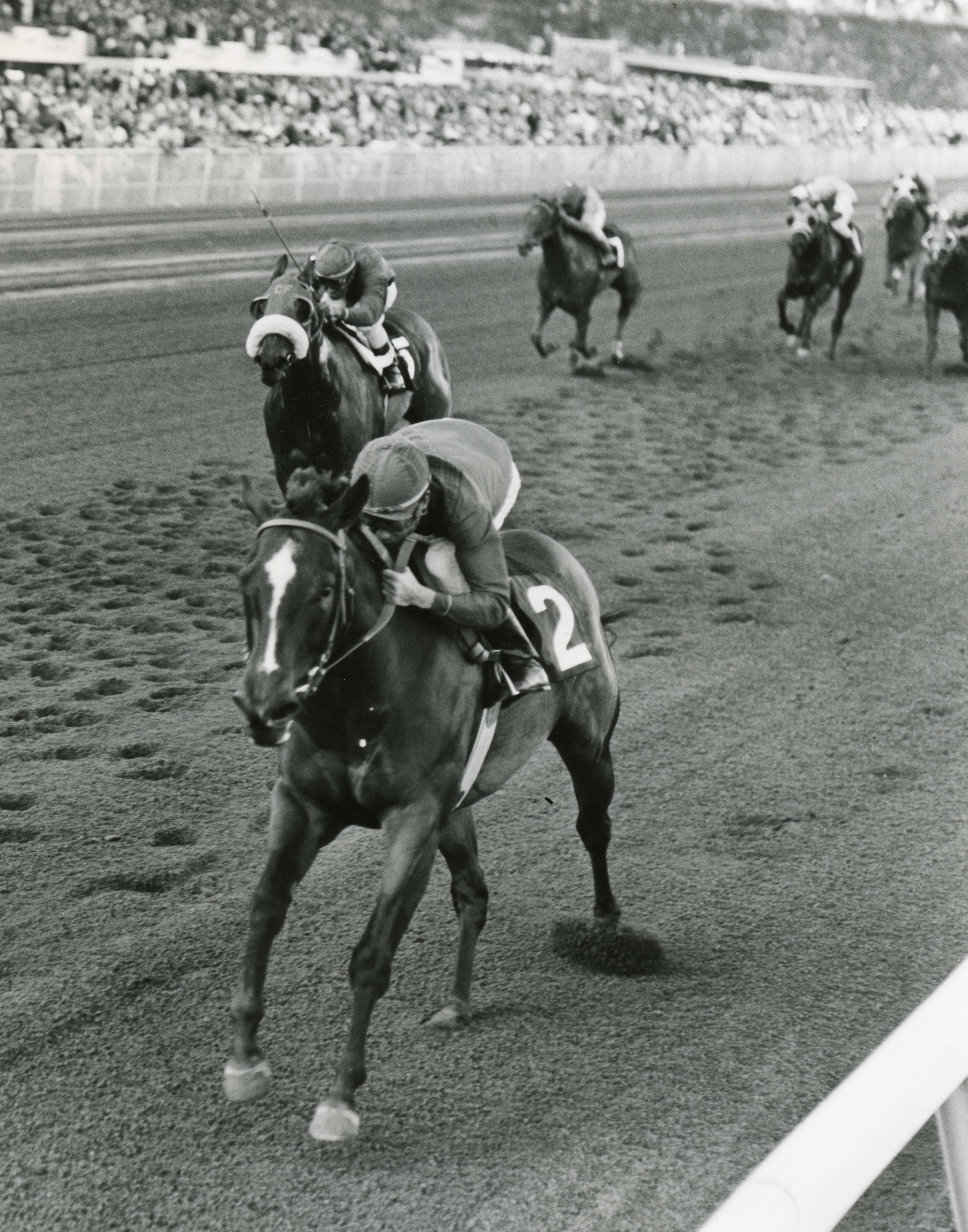 Ta Wee (John Rotz up) winning the 1969 Jasmine Stakes (Jim Raftery Turfotos/Museum Collection)