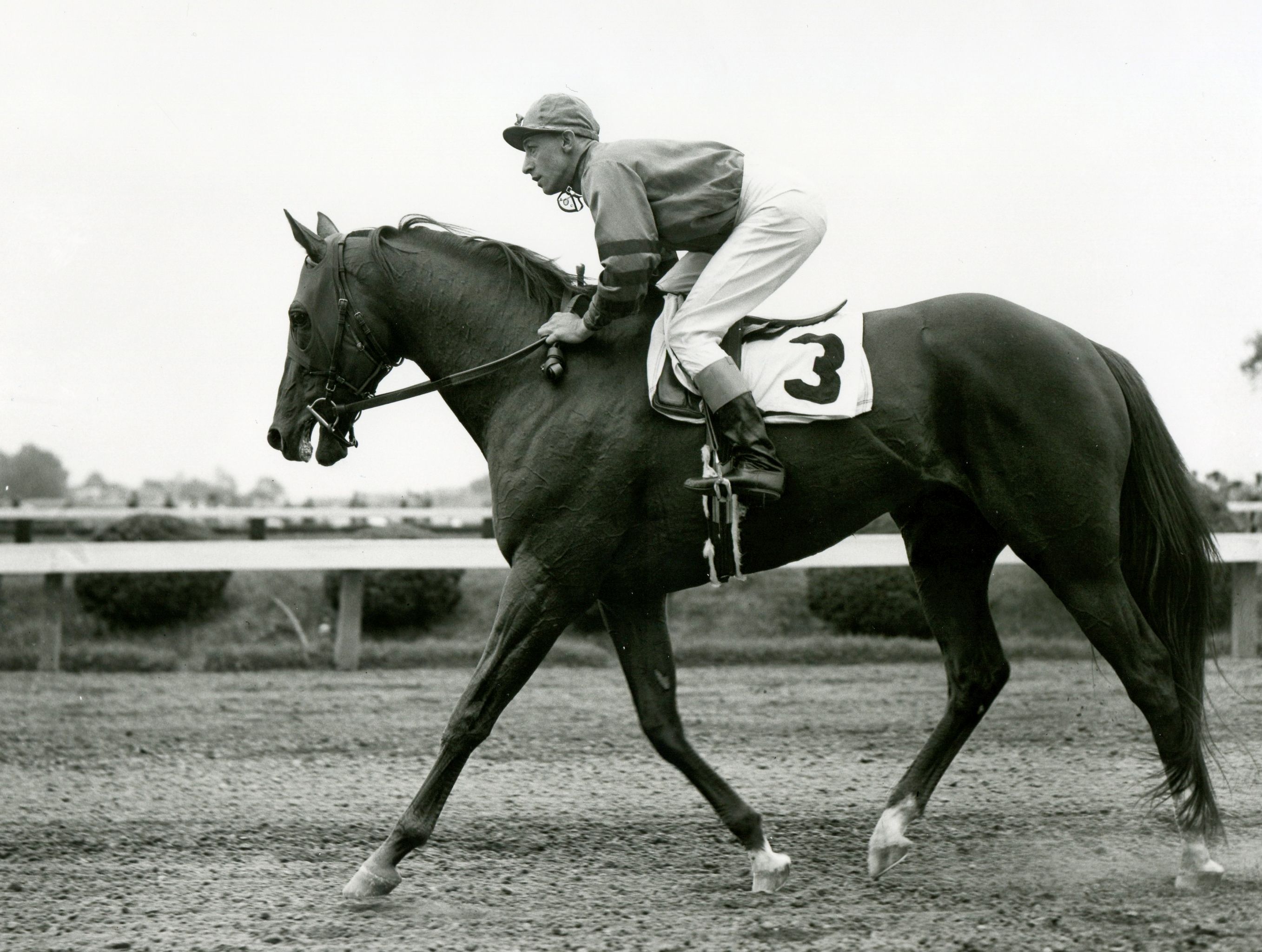 Whirlaway (Eddie Arcaro up) at Pimlico for the 1942 Dixie Handicap (Keeneland Library Morgan Collection/Museum Collection)