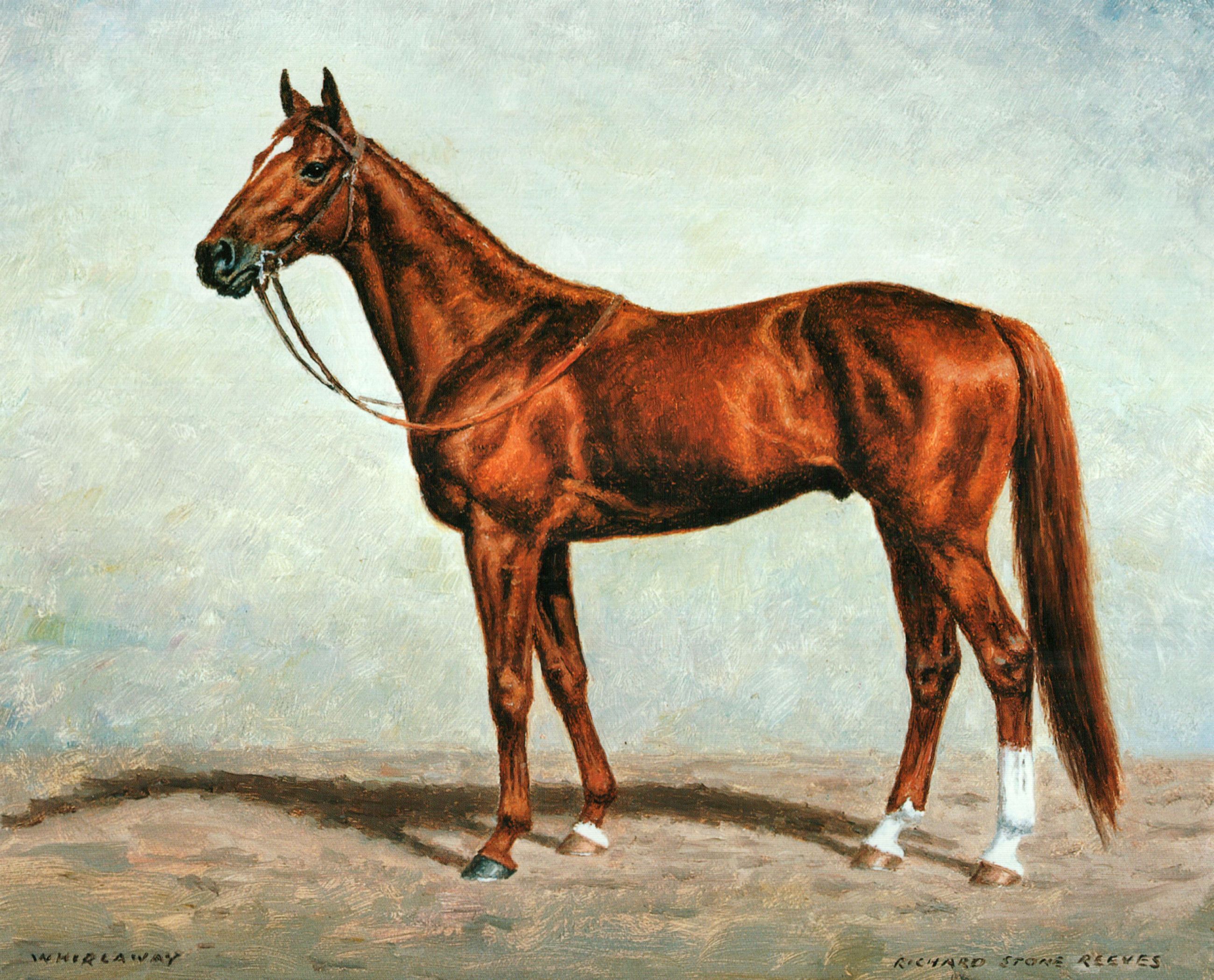Painting of Whirlaway by Richard Stone Reeves