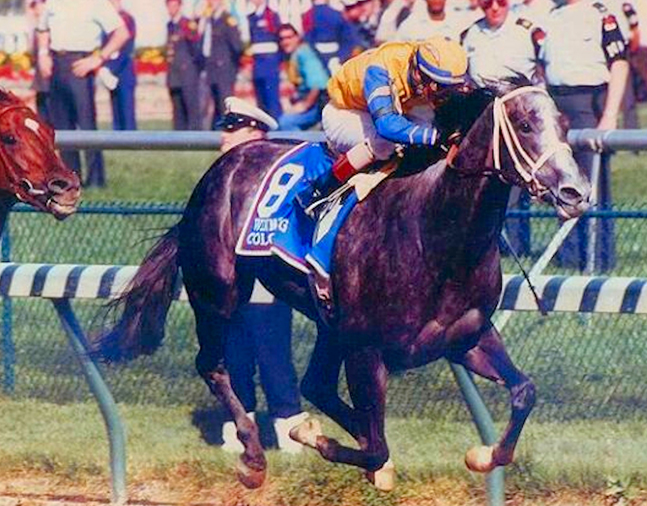 Winning Colors, 1988 Kentucky Derby (The BloodHorse)