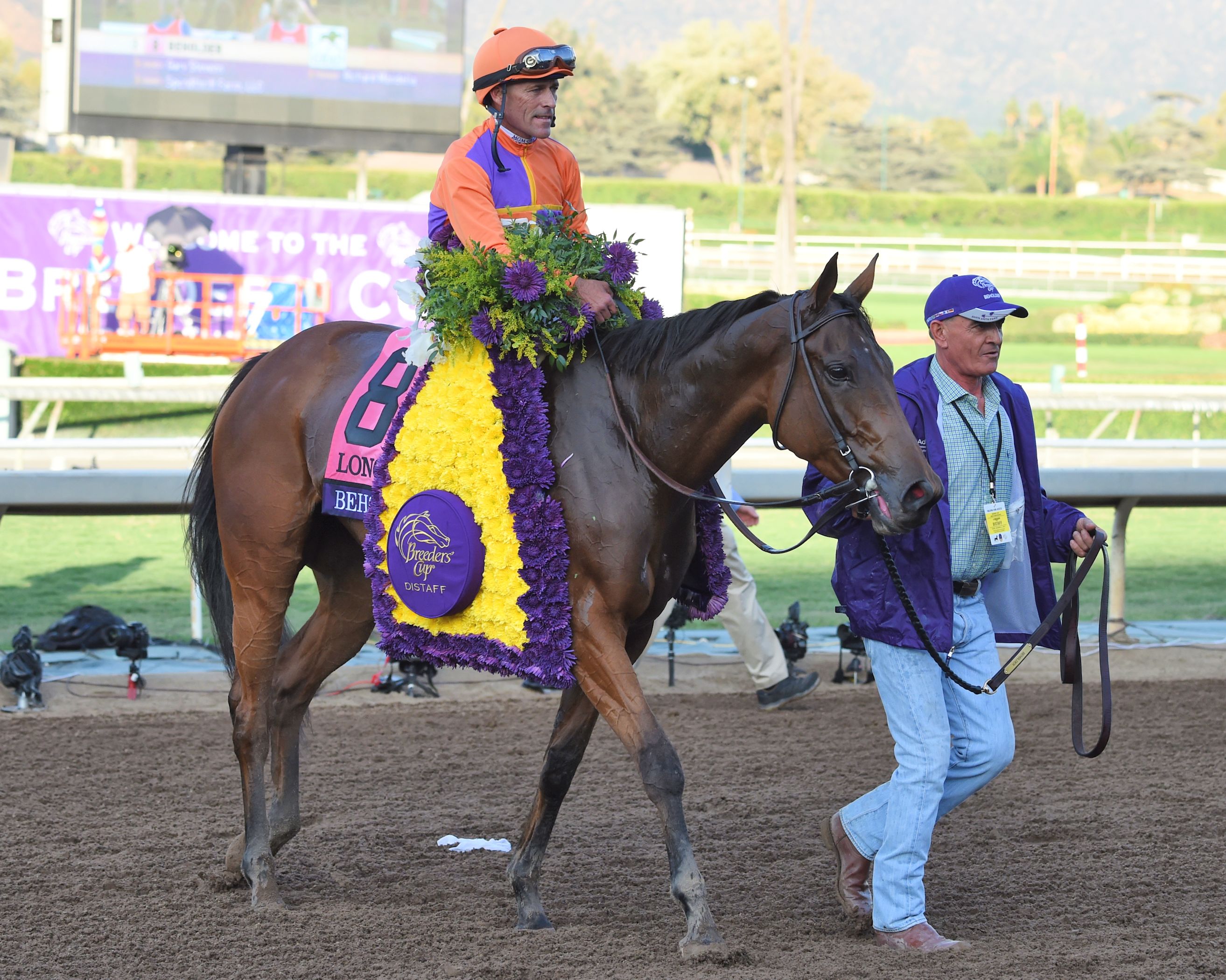 Gary Stevens aboard Beholder after winning the 2016 Breeders' Cup Distaff at Santa Anita (Bob Mayberger/Museum Collection)