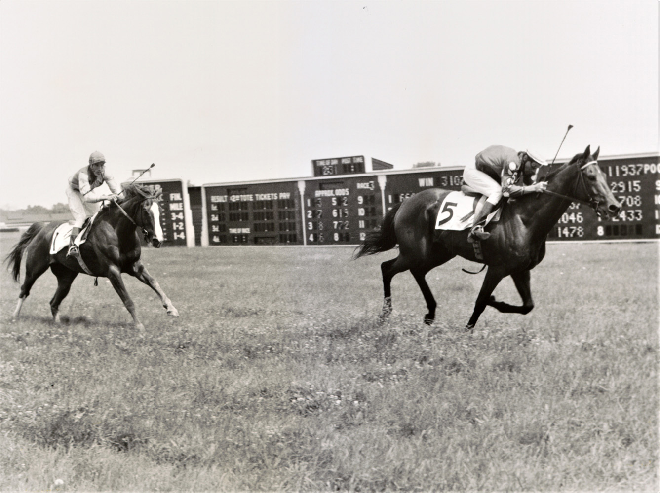 Joe Aitcheson and Tuscalee race to the finish in the 1968 Georgetown Steeplechase Handicap at Delaware Park (Keeneland Library Thoroughbred Times Collection)