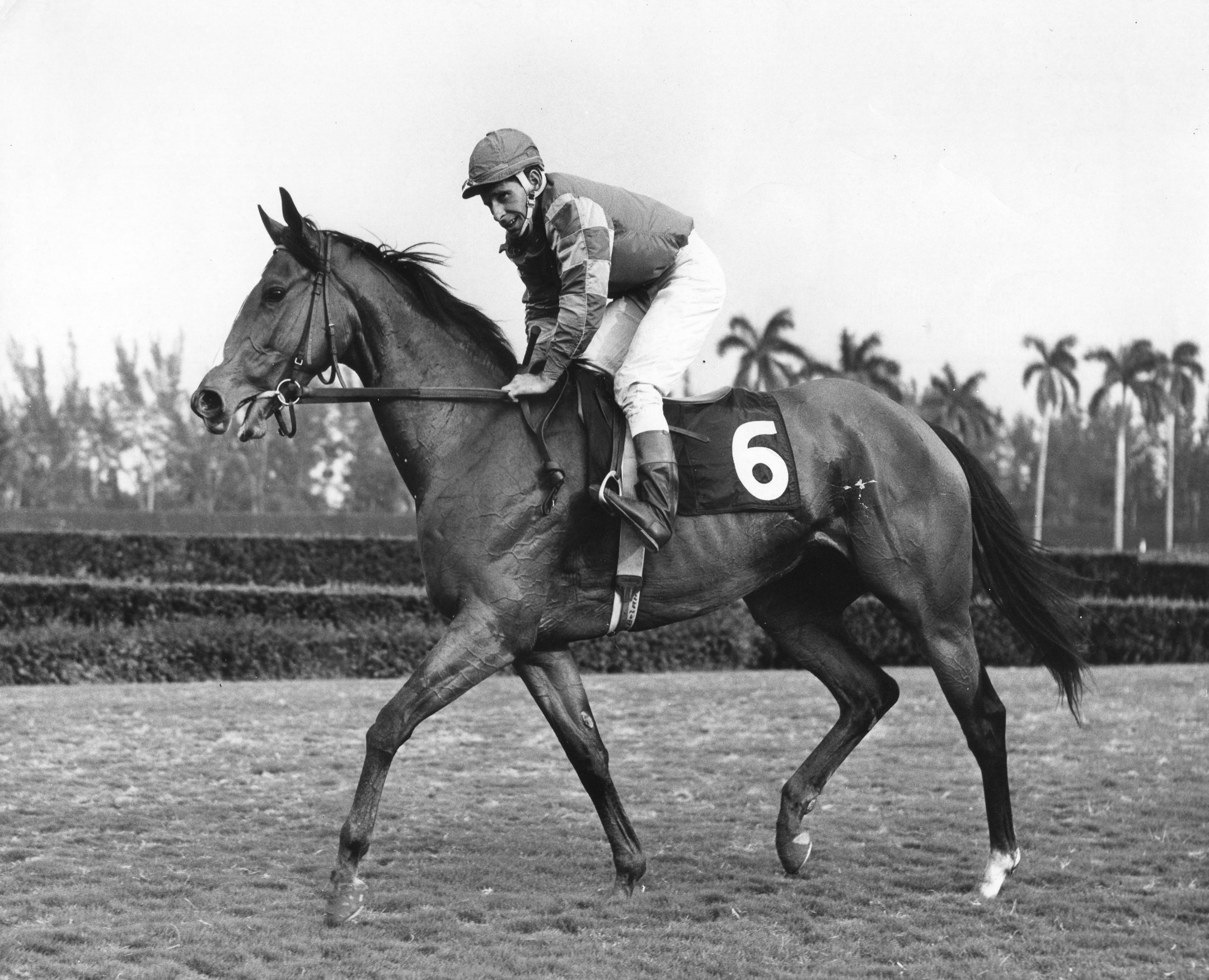 Bill Boland on Mac's Sparkler in the 1967 Black Helen at Hialeah Park (Jim Raftery Turfotos/Museum Collection)