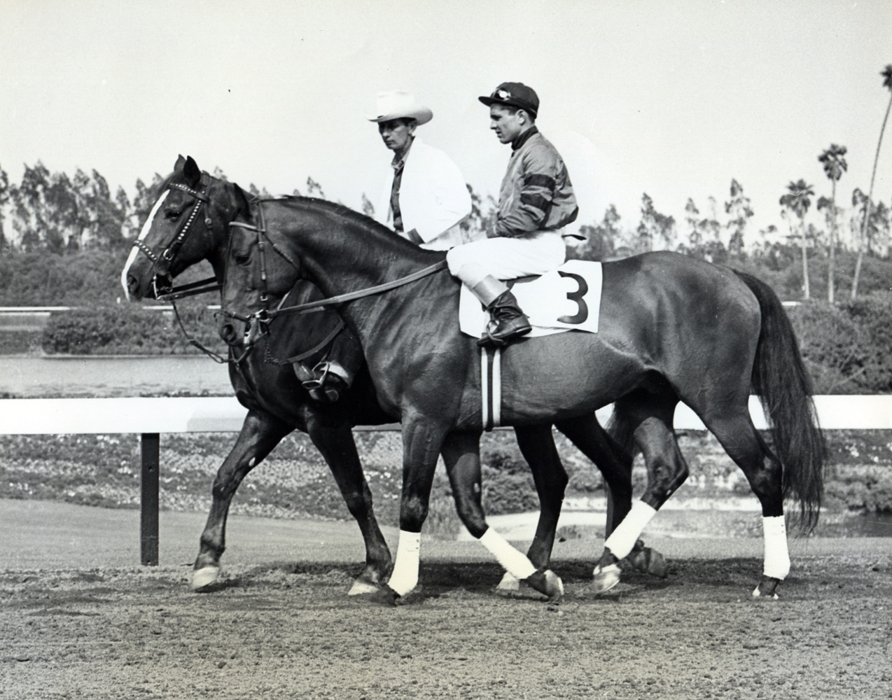 Steve Brooks and Citation at Hollywood Park (Museum Collection)