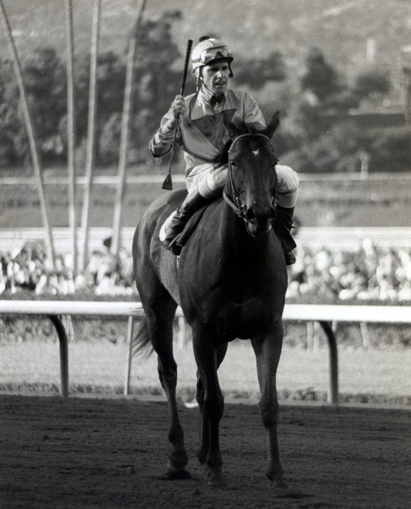Eddie Delahoussaye and Bold 'n Determined after winning the 1980 Pasadena Stakes at Santa Anita (Bill Mochon/Museum Collection)