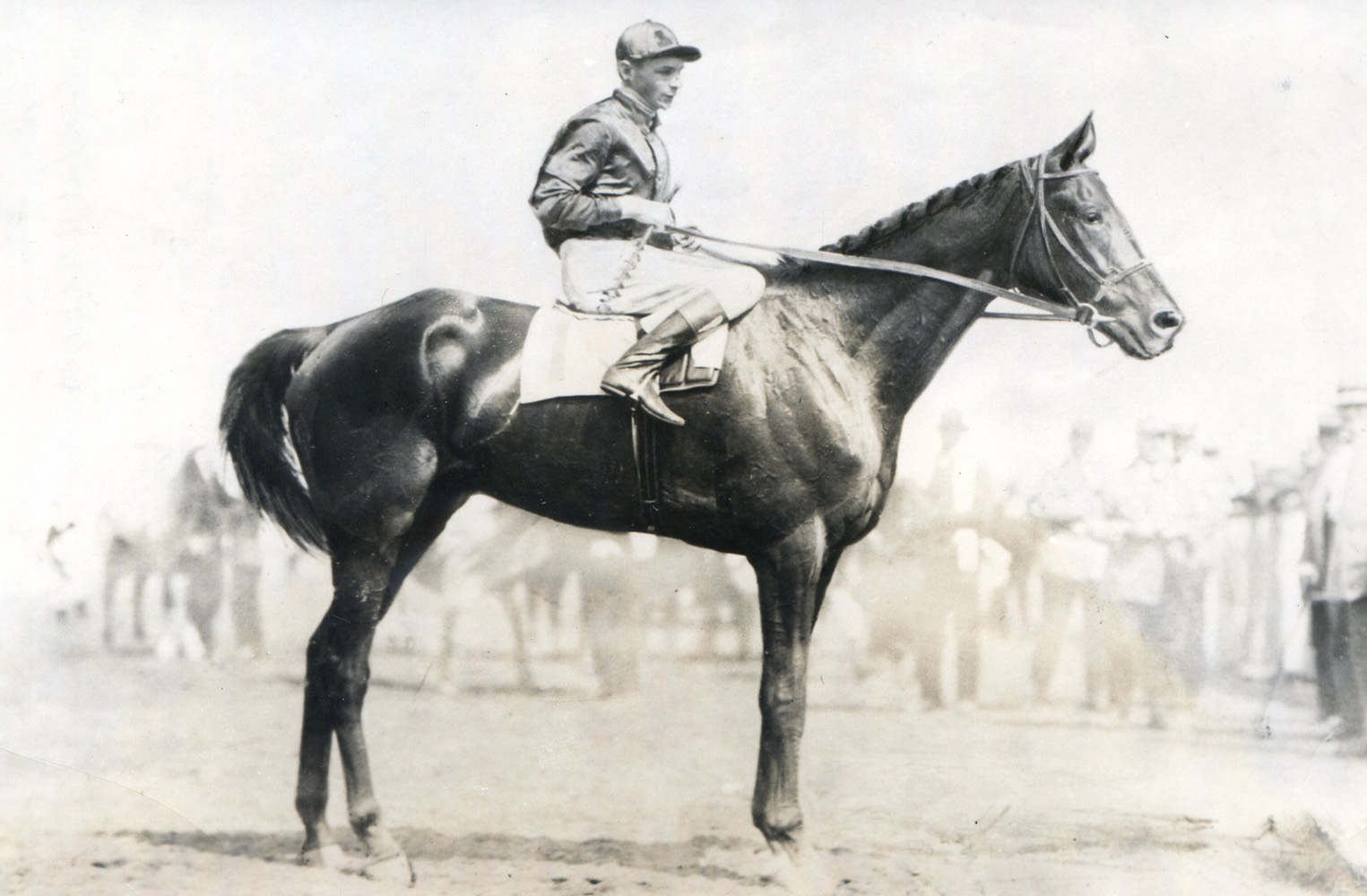 Albert Johnson and Exterminator at Saratoga in 1918 (Museum Collection)