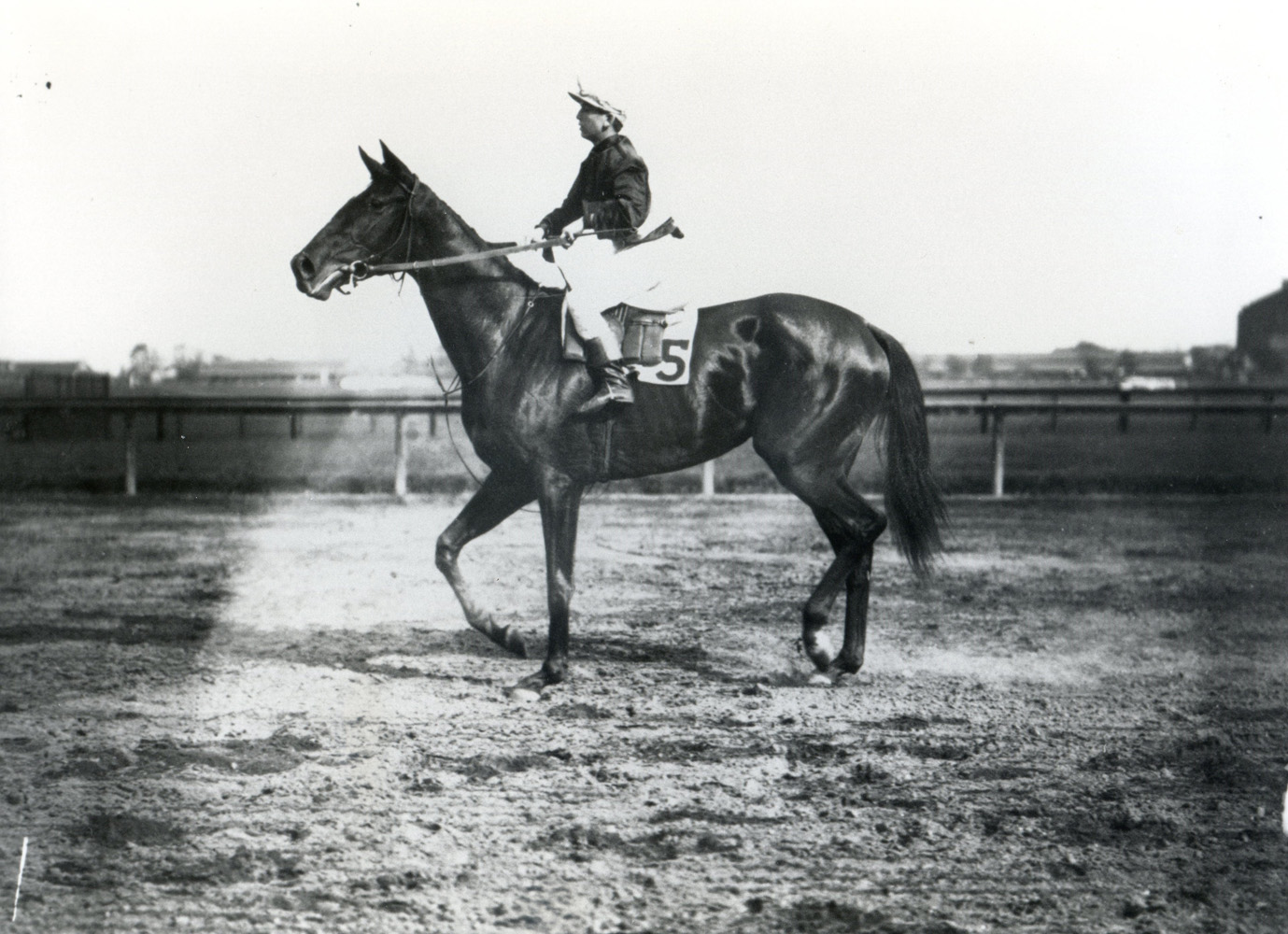 Walter Miller and Whimsical (Keeneland Library Cook Collection/Museum Collection)