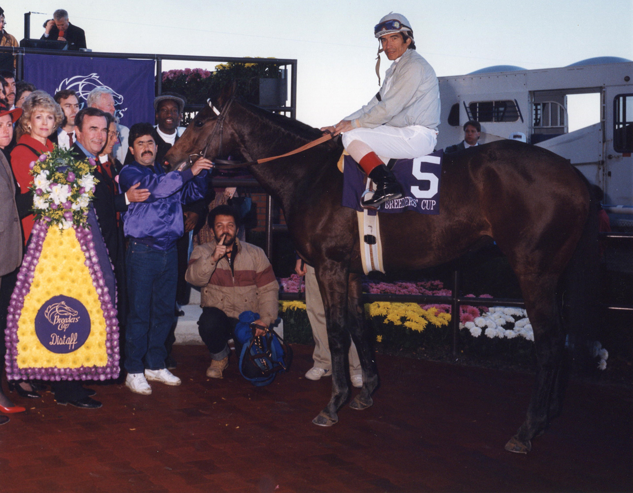 Laffit Pincay, Jr. and Bayakoa in the winner's circle for the 1990 Breeders' Cup Distaff at Belmont Park (Bob Coglianese/Museum Collection)
