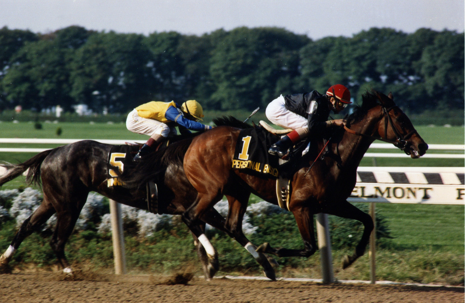 Randy Romero and Personal Ensign winning the 1988 Maskette at Belmont Park (Barbara D. Livingston/Museum Collection)