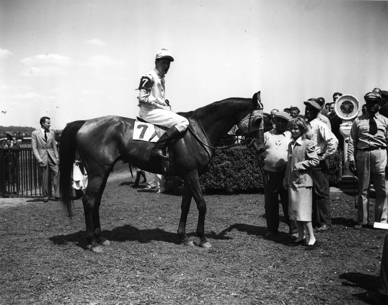 Alfred P. Smithwick and Elkridge in the winner's circle for the 1949 Meadow Brook Handicap Steeplechase at Belmont (Keeneland Library Morgan Collection/Museum Collection)