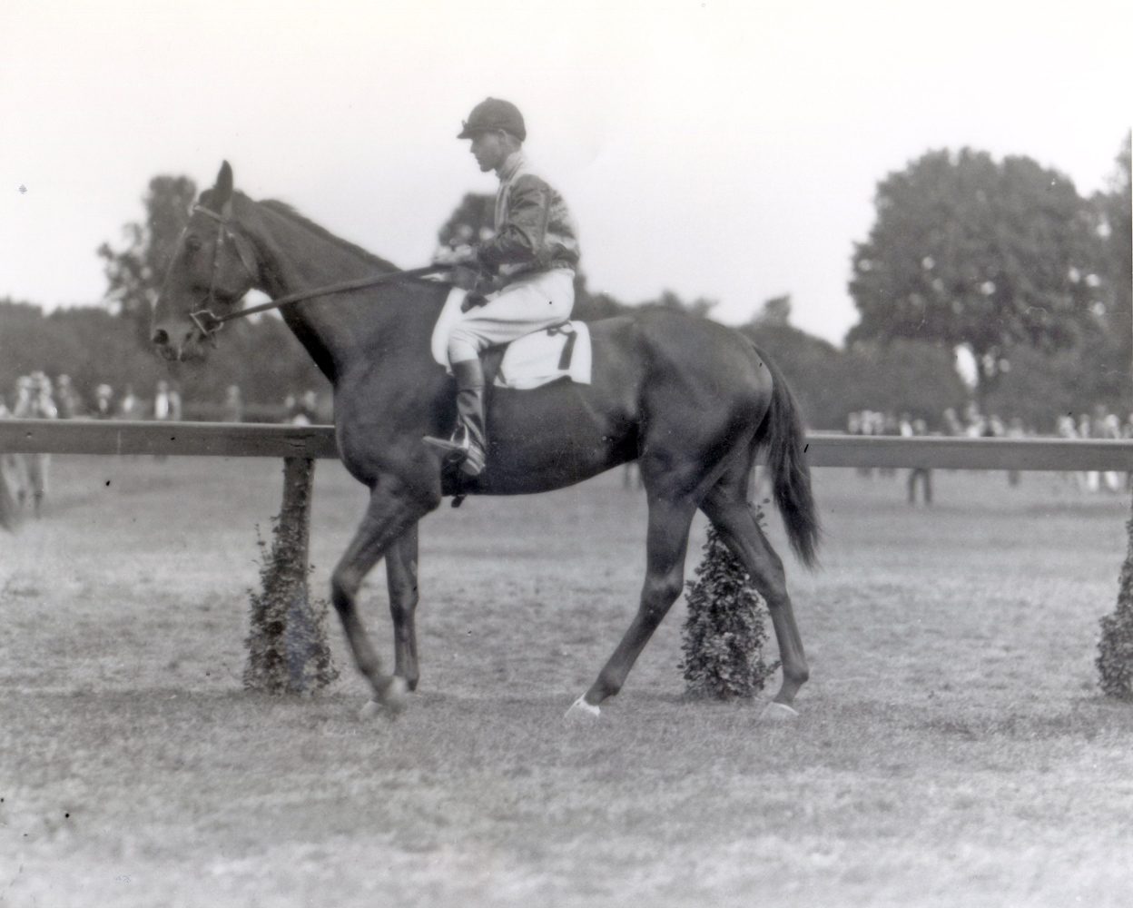 Bayard Tuckerman, Jr. (Keeneland Library Cook Collection/Museum Collection)