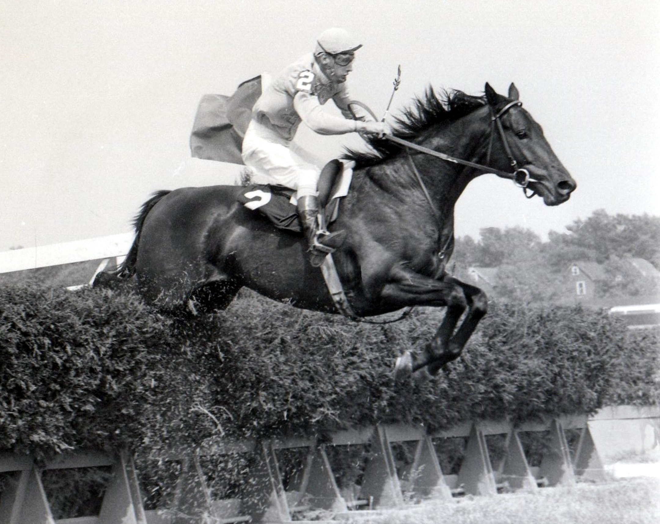 Tommy Walsh and Mako in the 1966 Meadowbrook Steeplechase Handicap during the Belmont at Aqueduct meet (NYRA/Museum Collection)
