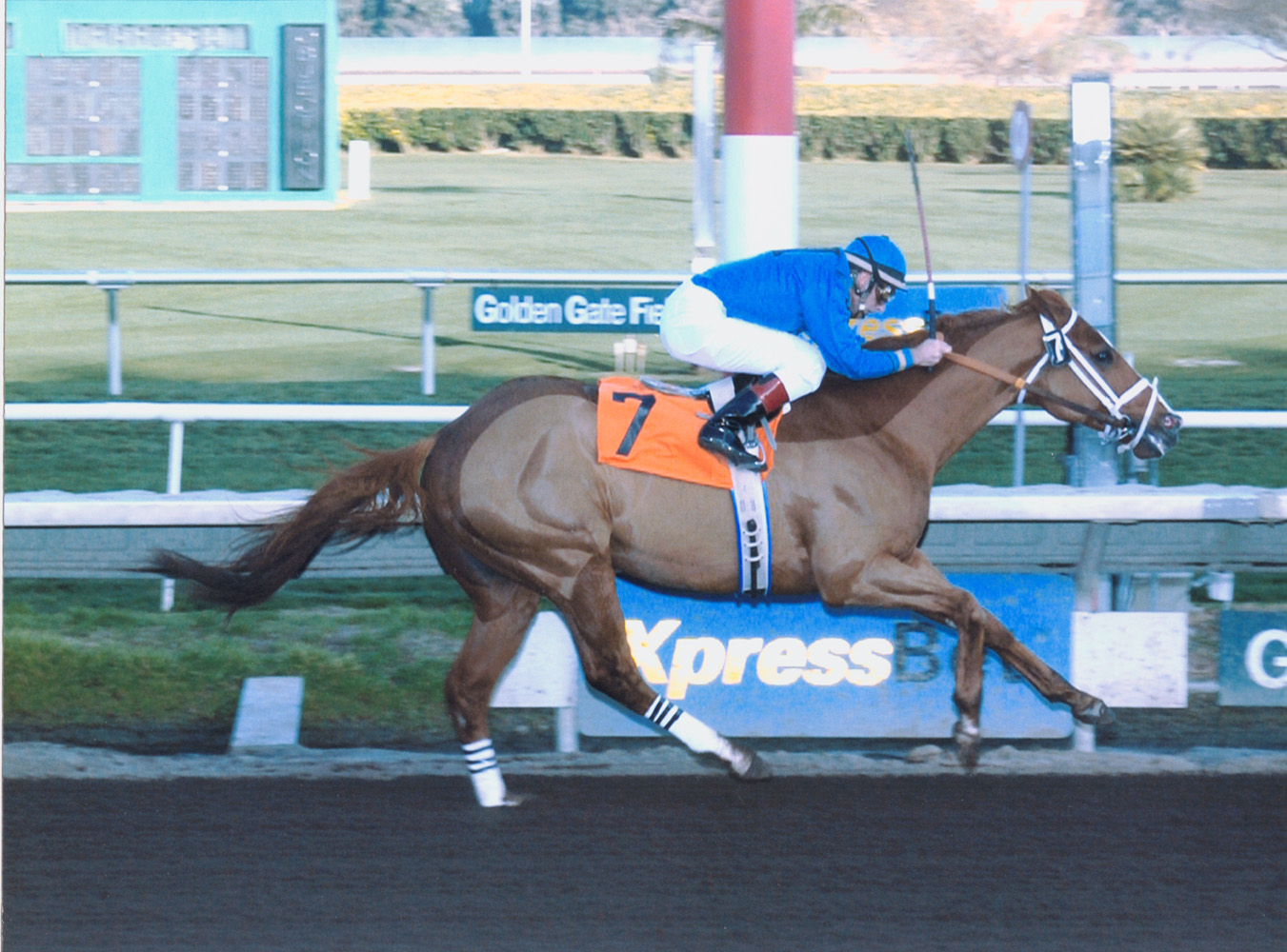 Russell Baze winning his 8,834th career race aboard Hollow Memories to surpass Bill Shoemaker and reach 2nd place on the all-time wins list for jockeys (Golden Gate Fields Photo/Museum Collection)