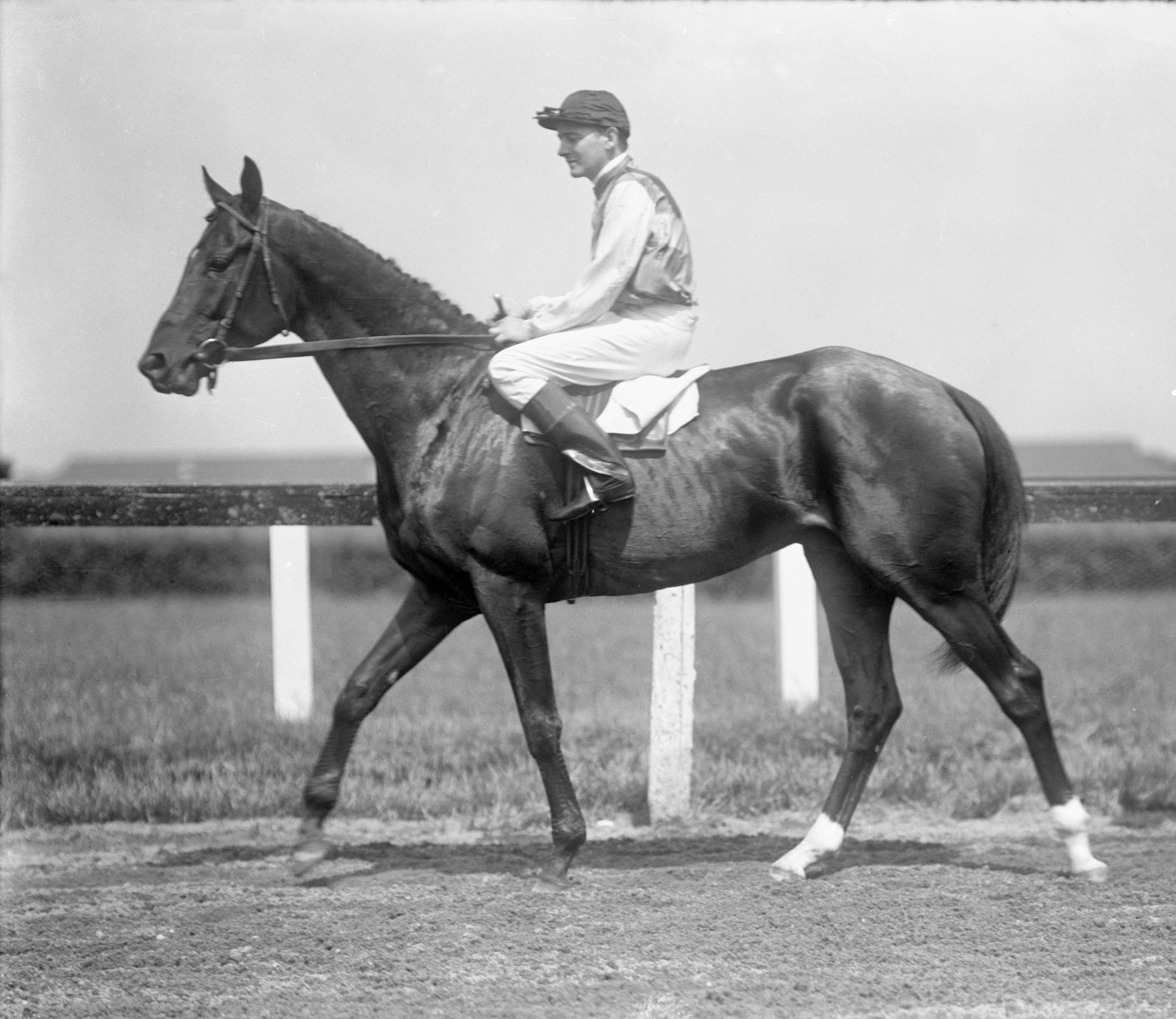 Clarence Kummer aboard Vito, 1928 Belmont Stakes (Keeneland Library Cook Collection)