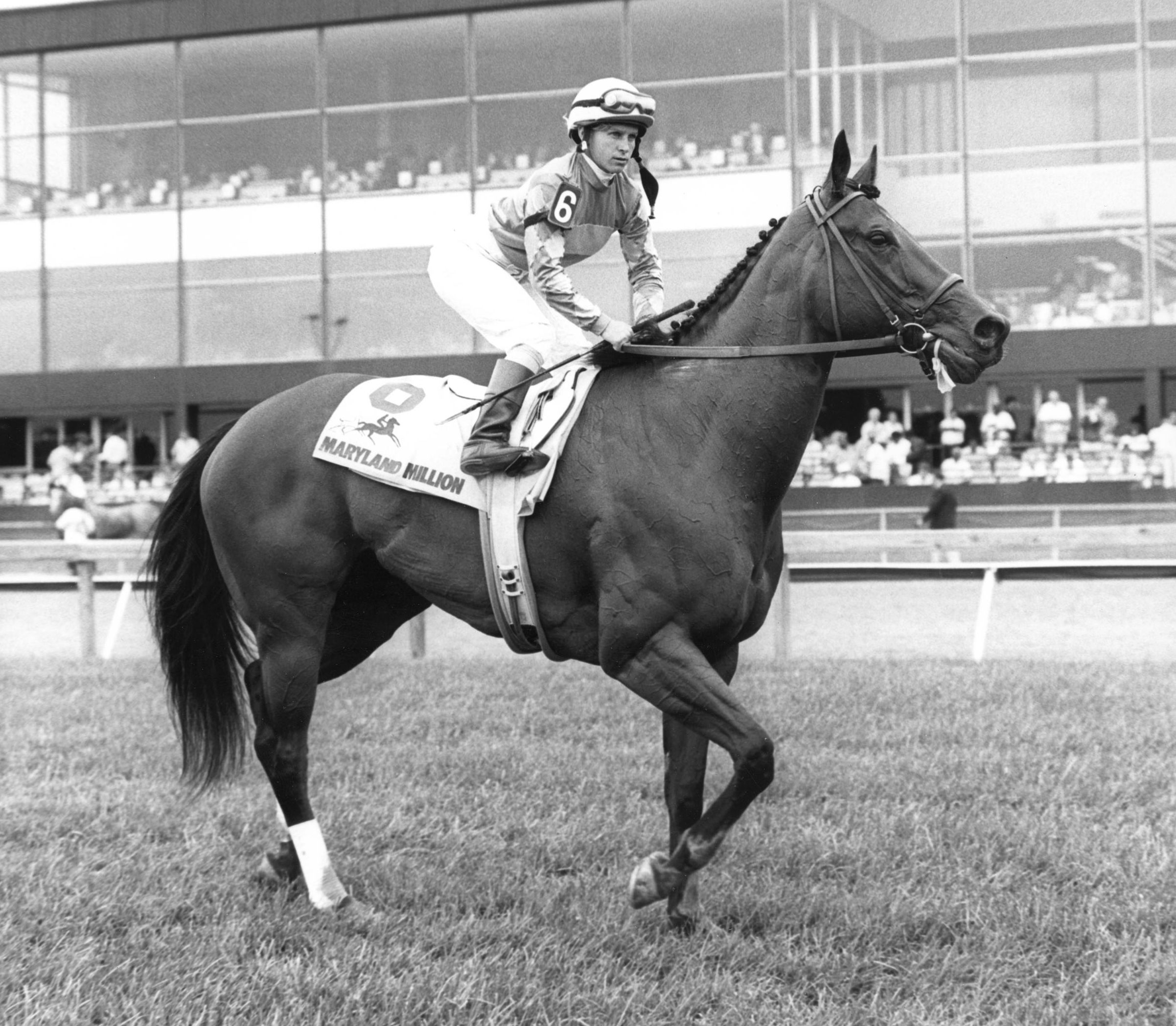 Safely Kept, Julie Krone up, after winning the State of Maryland Distaff Handicap, 1990 (Maryland Jockey Club)