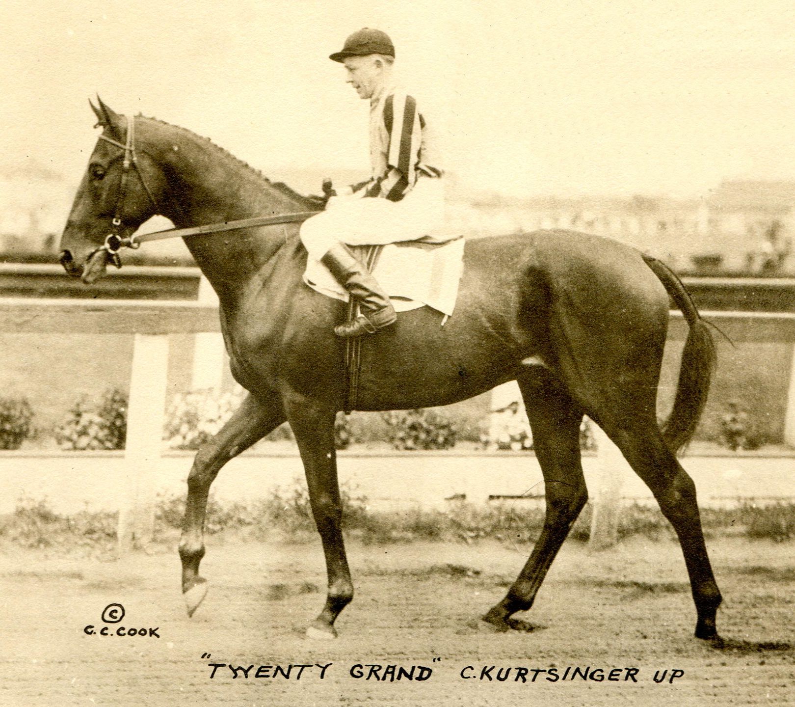 The 1931 Jockey Club Gold Cup, won by Twenty Grand (Charles Kurtsinger up)  (C. C. Cook/Museum Collection)