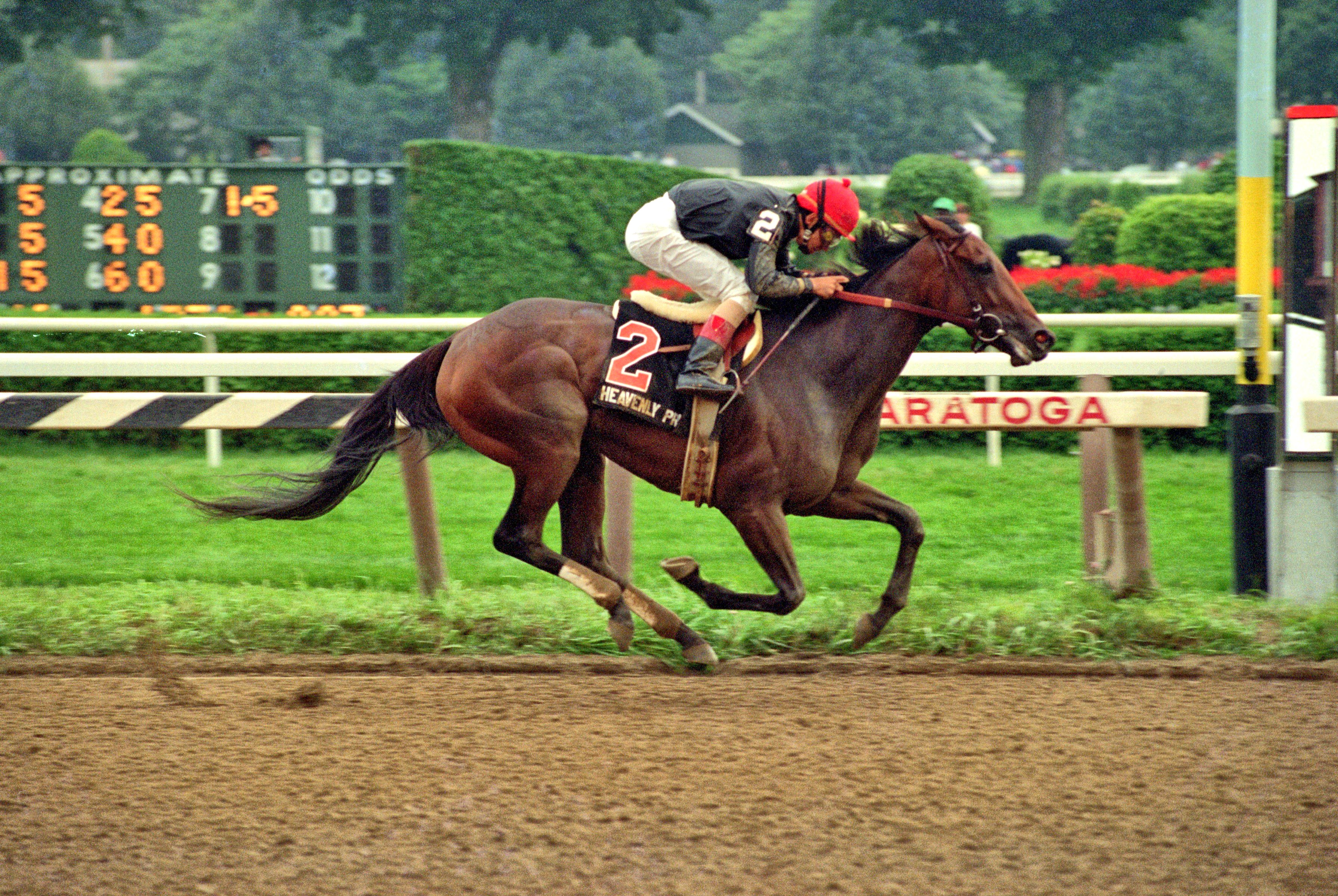 Heavenly Prize, Mike Smith up, winning 1994 Alabama Stakes at Saratoga (NYRA)